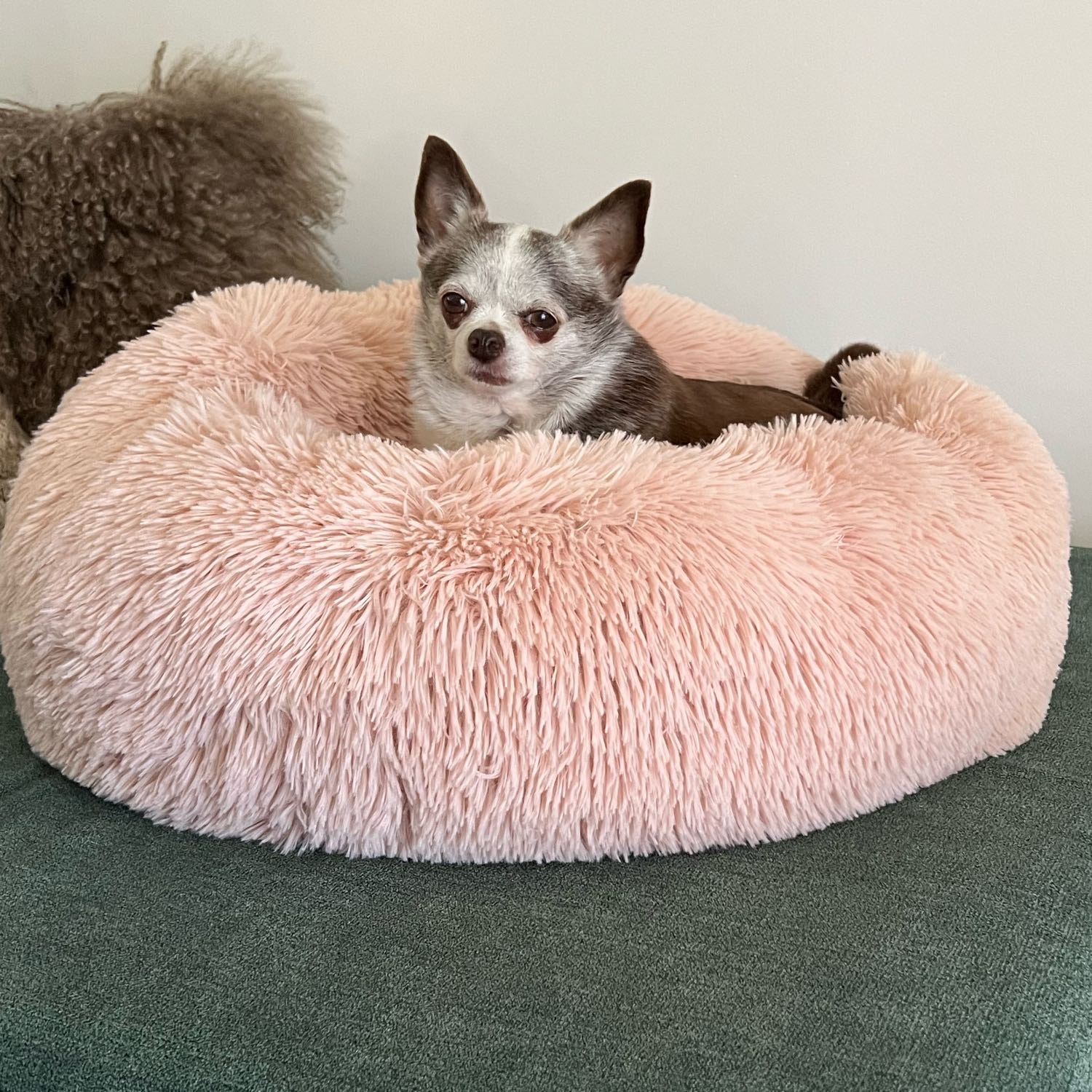 Coco