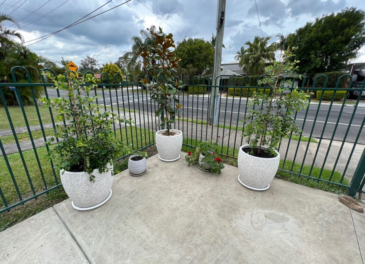 image-11