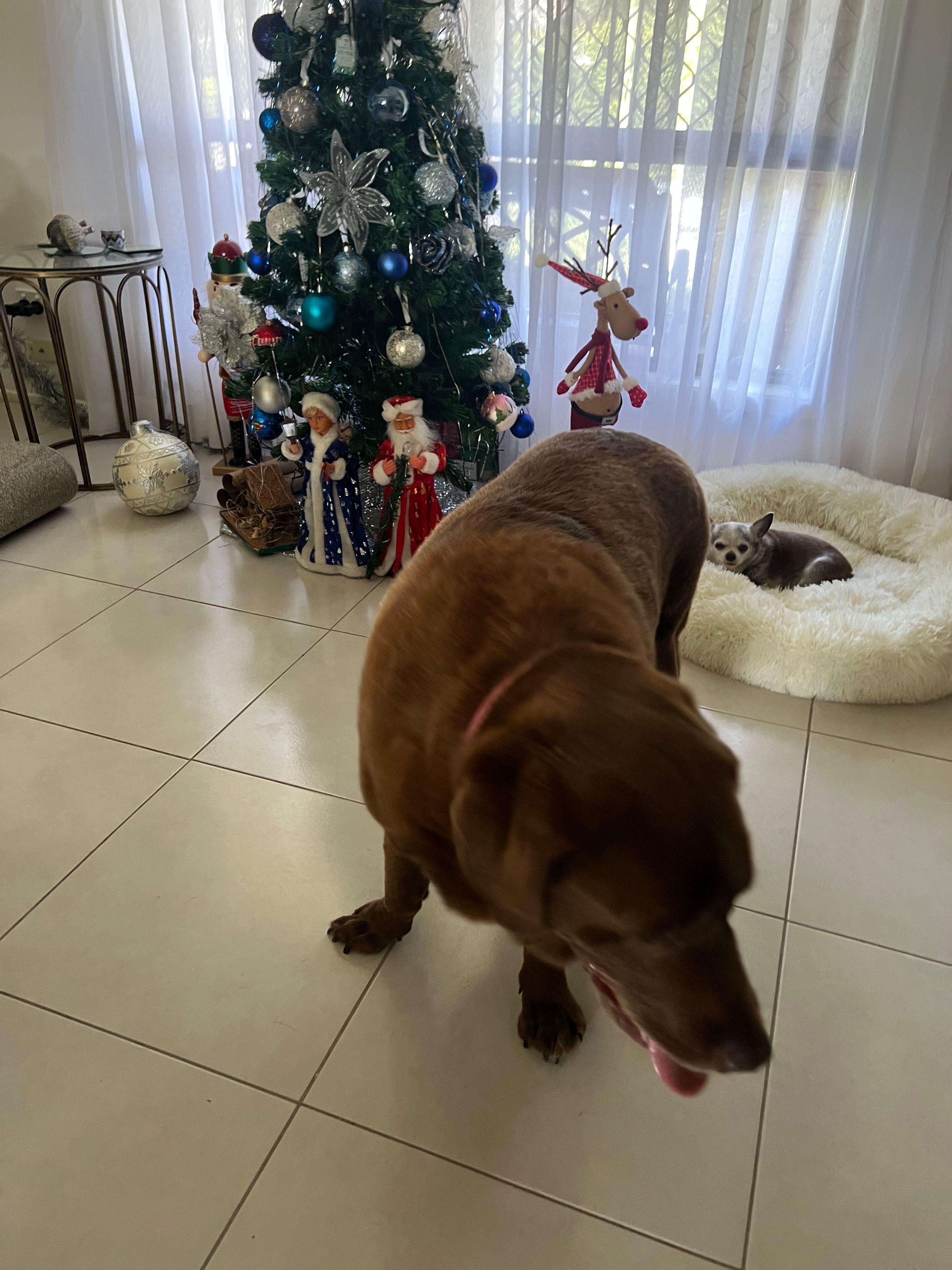 image-38