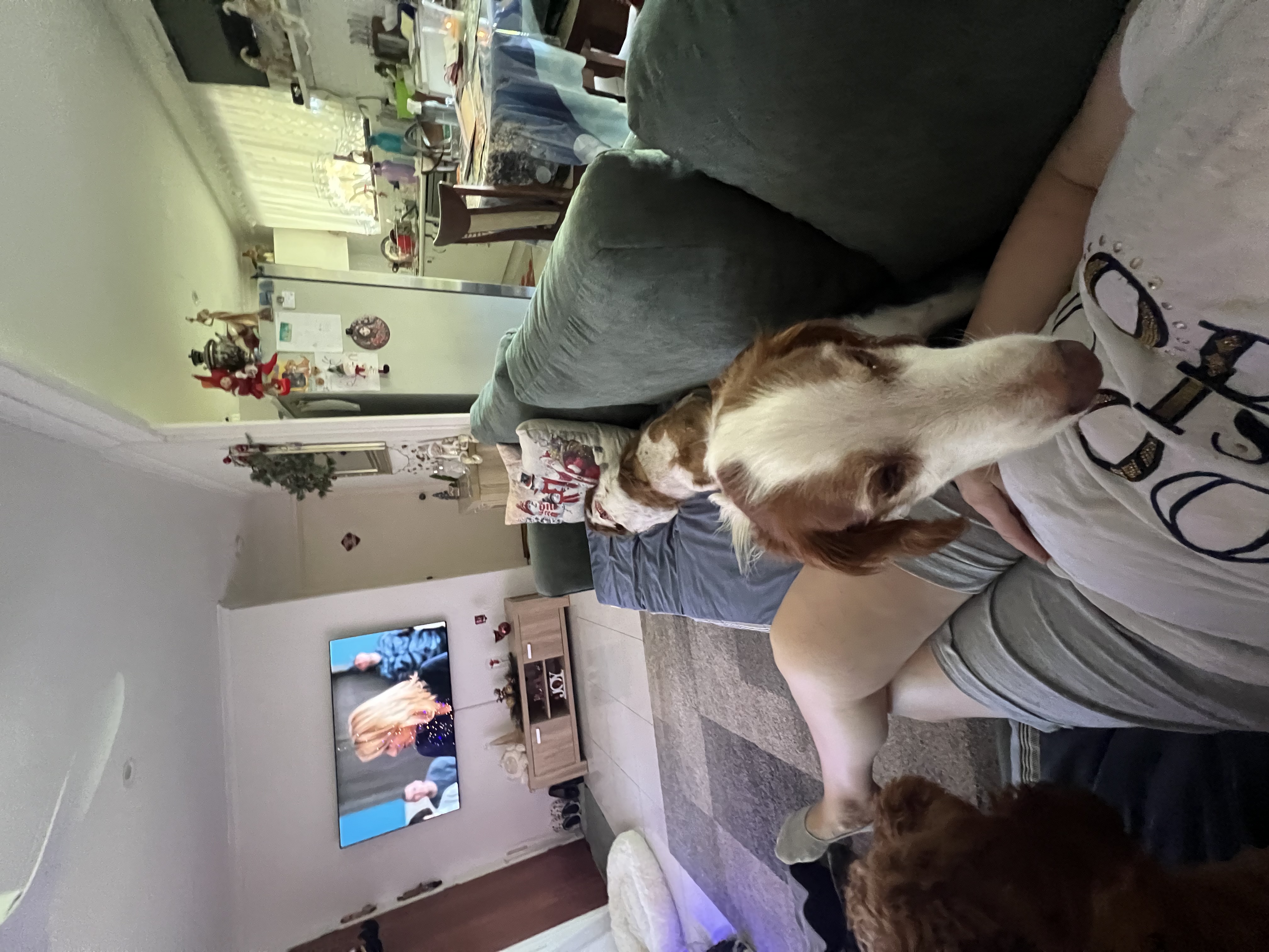 image-41