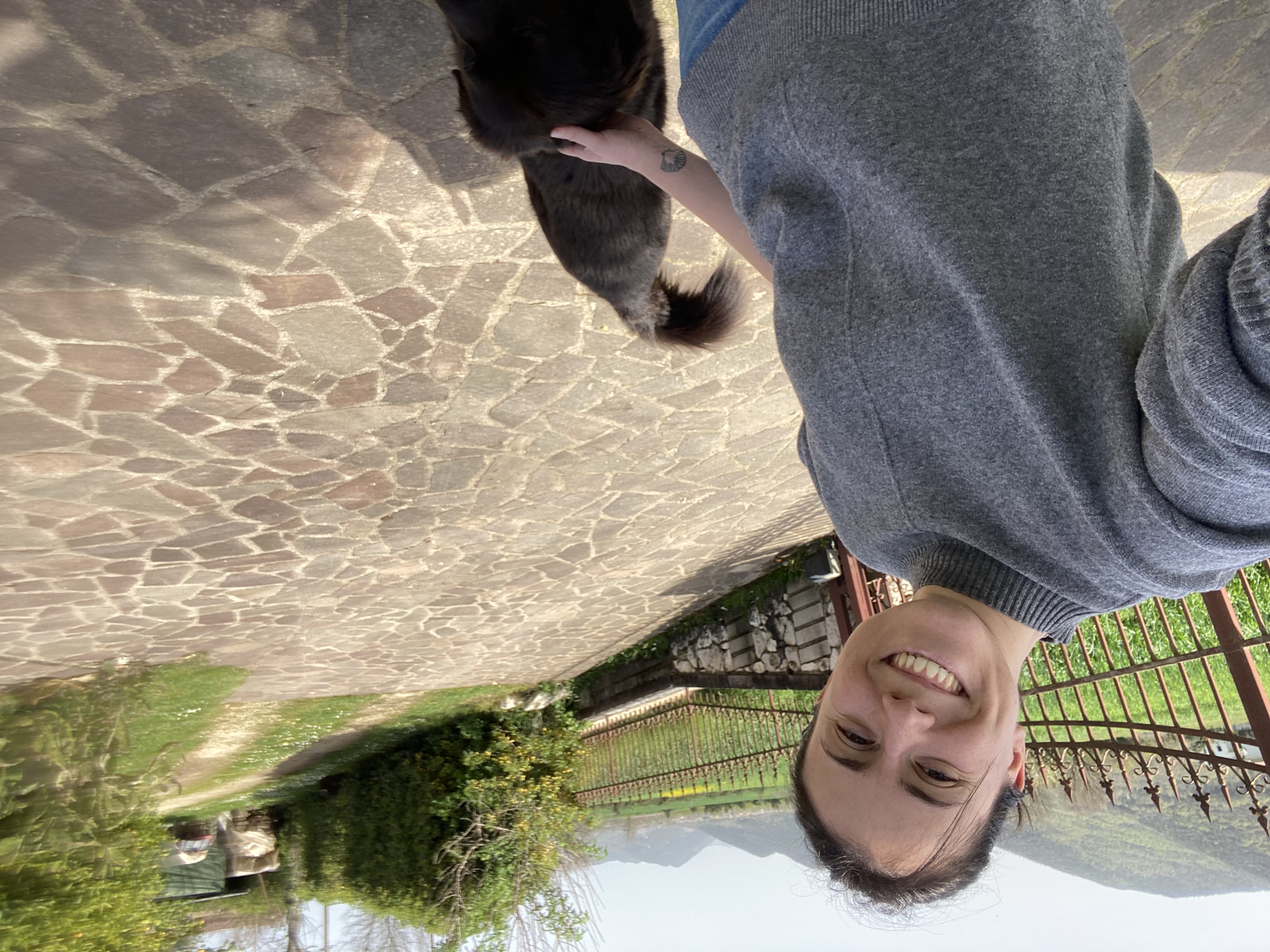 image-2