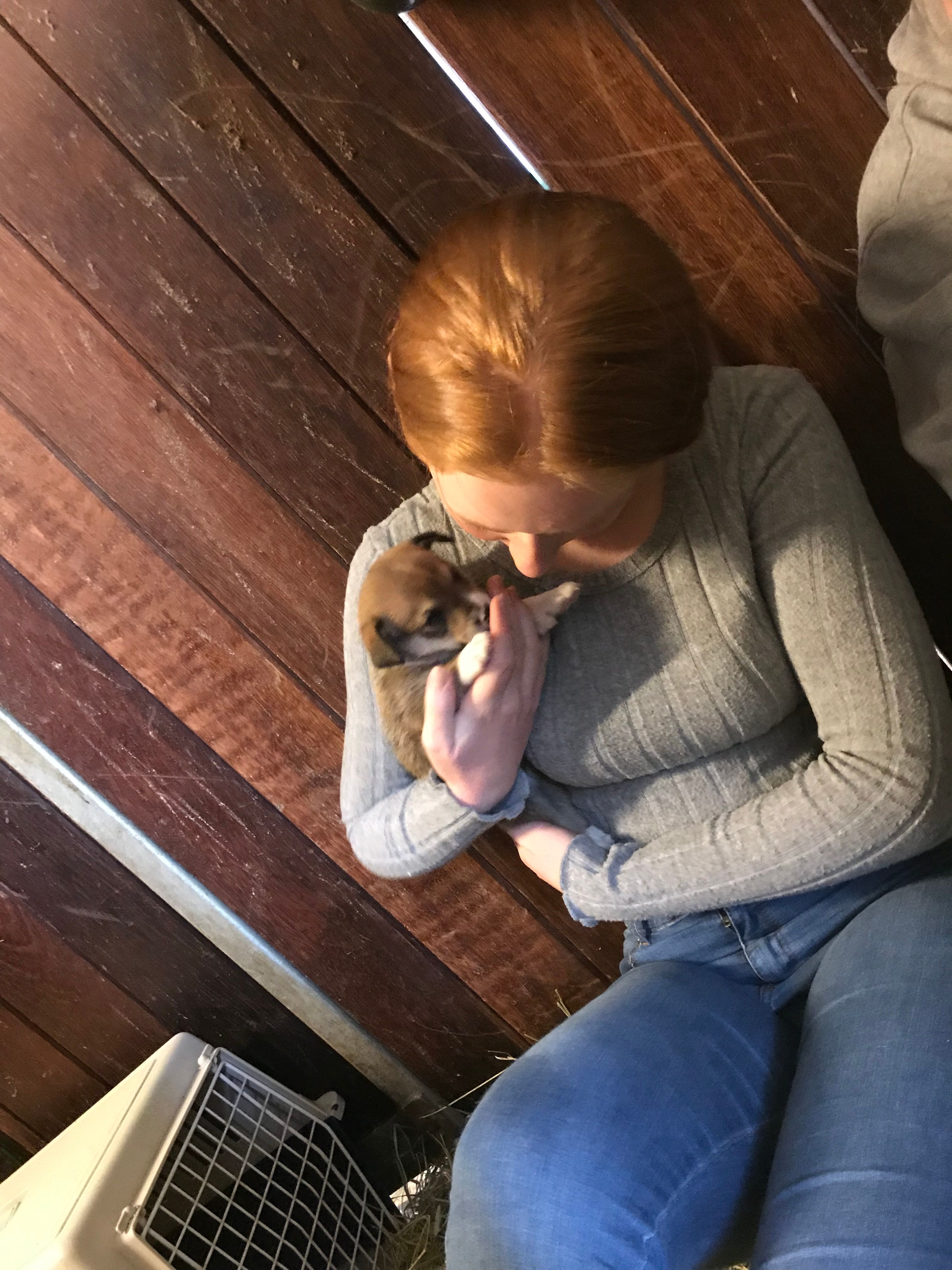 image-14