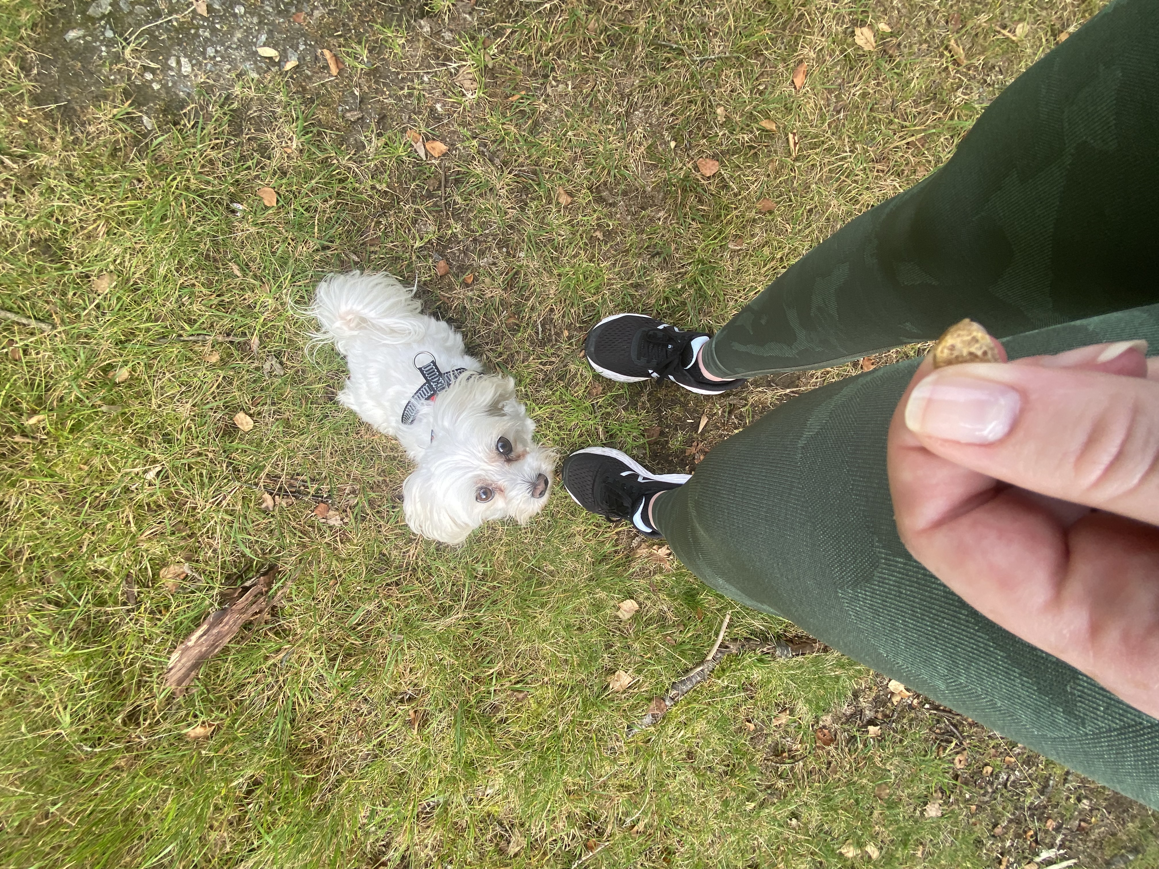 image-8