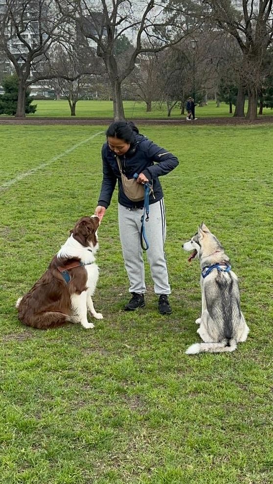 image-18