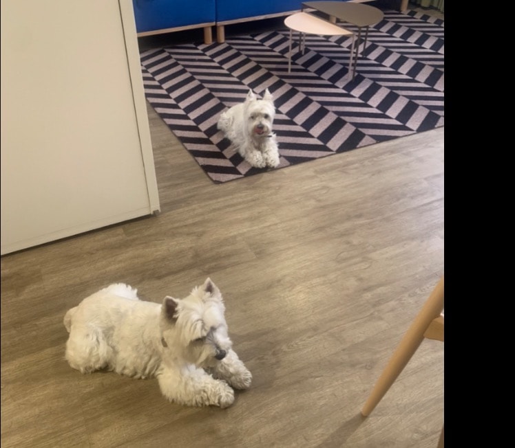 image-9