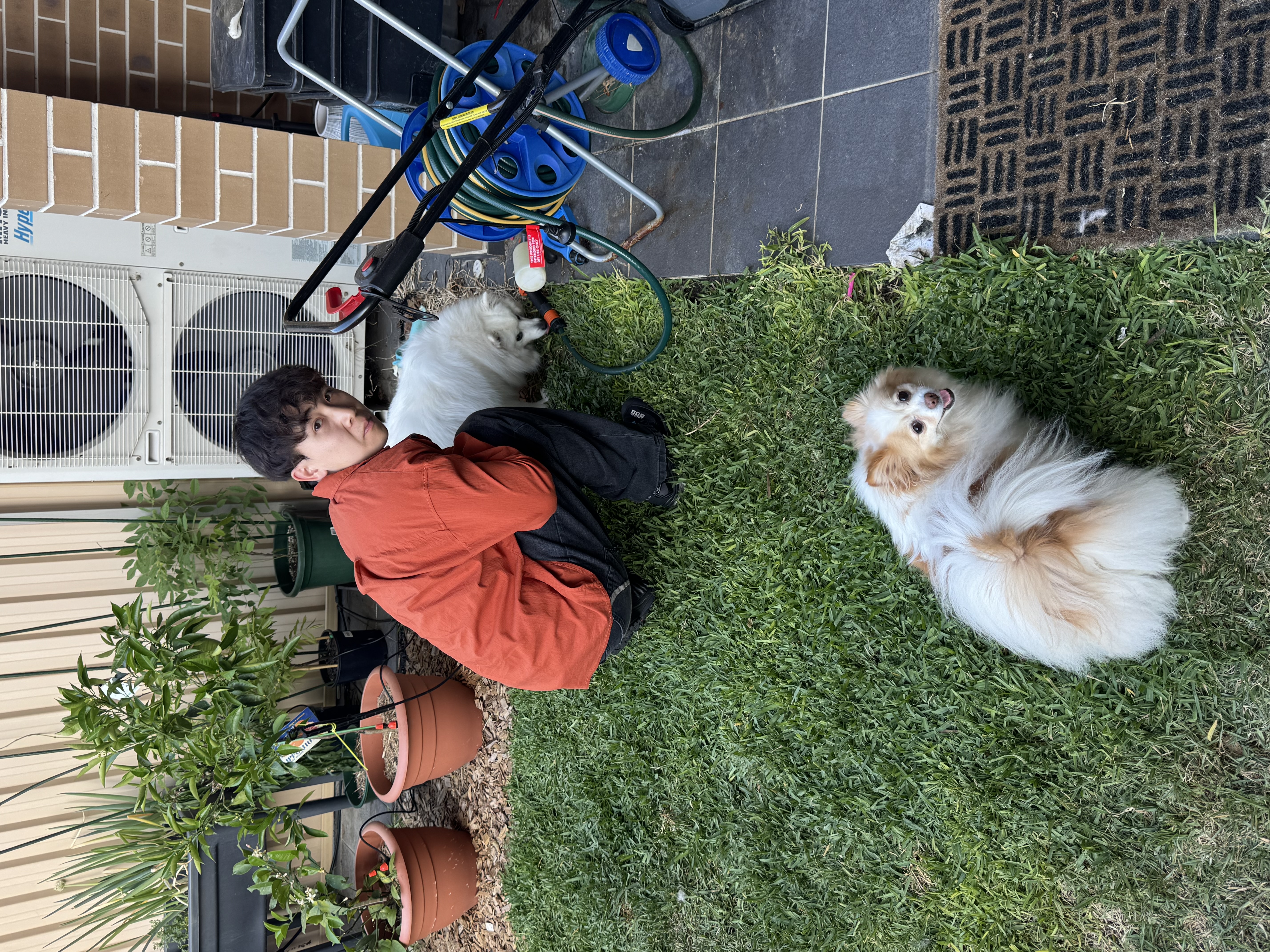 image-10