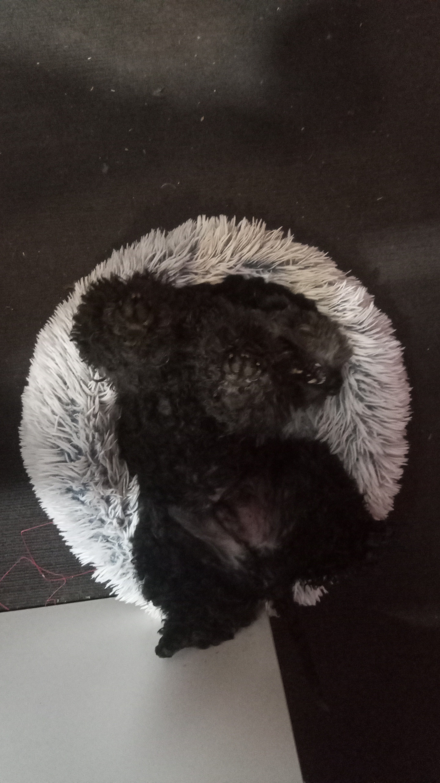 image-8