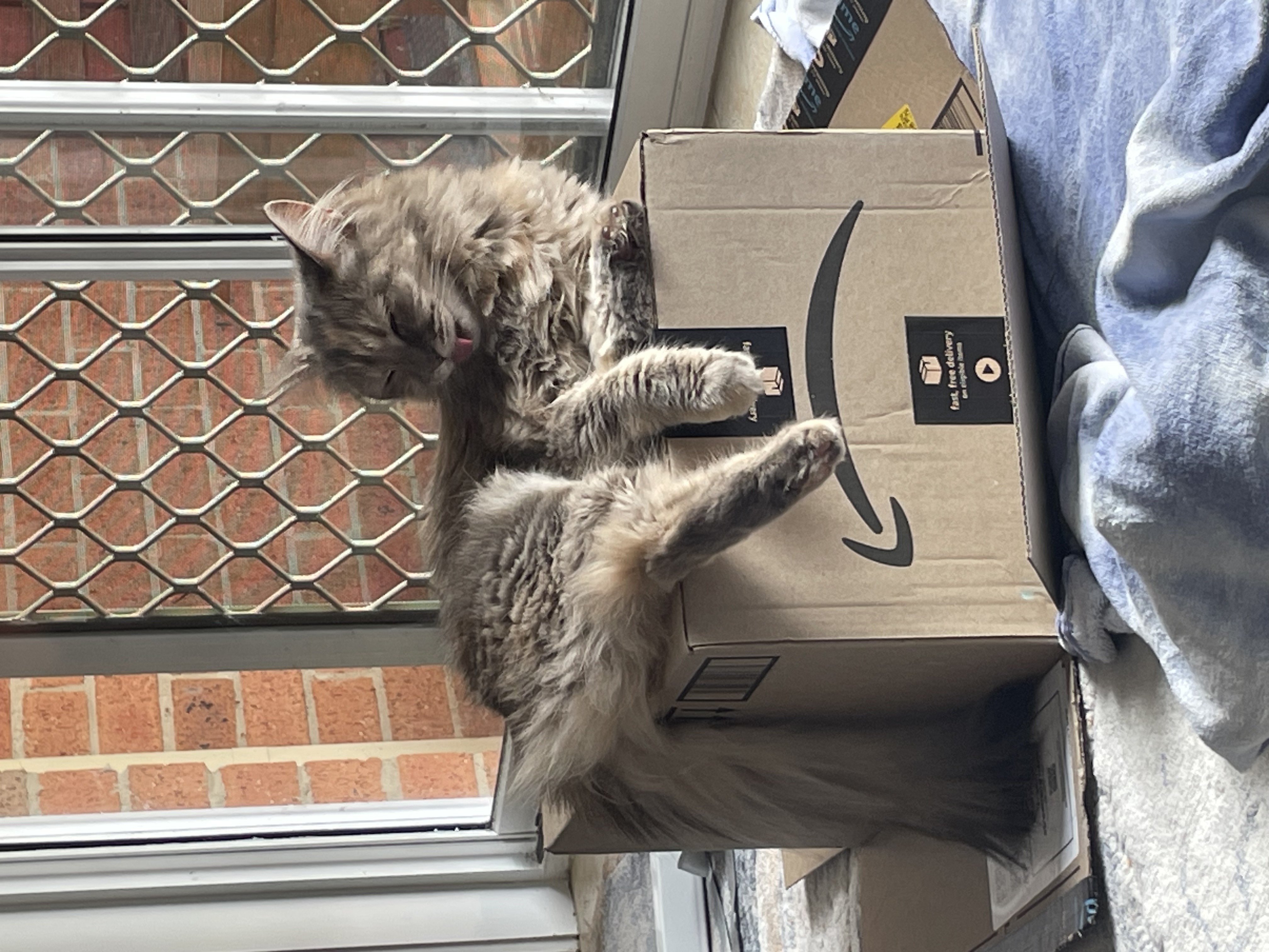 image-6