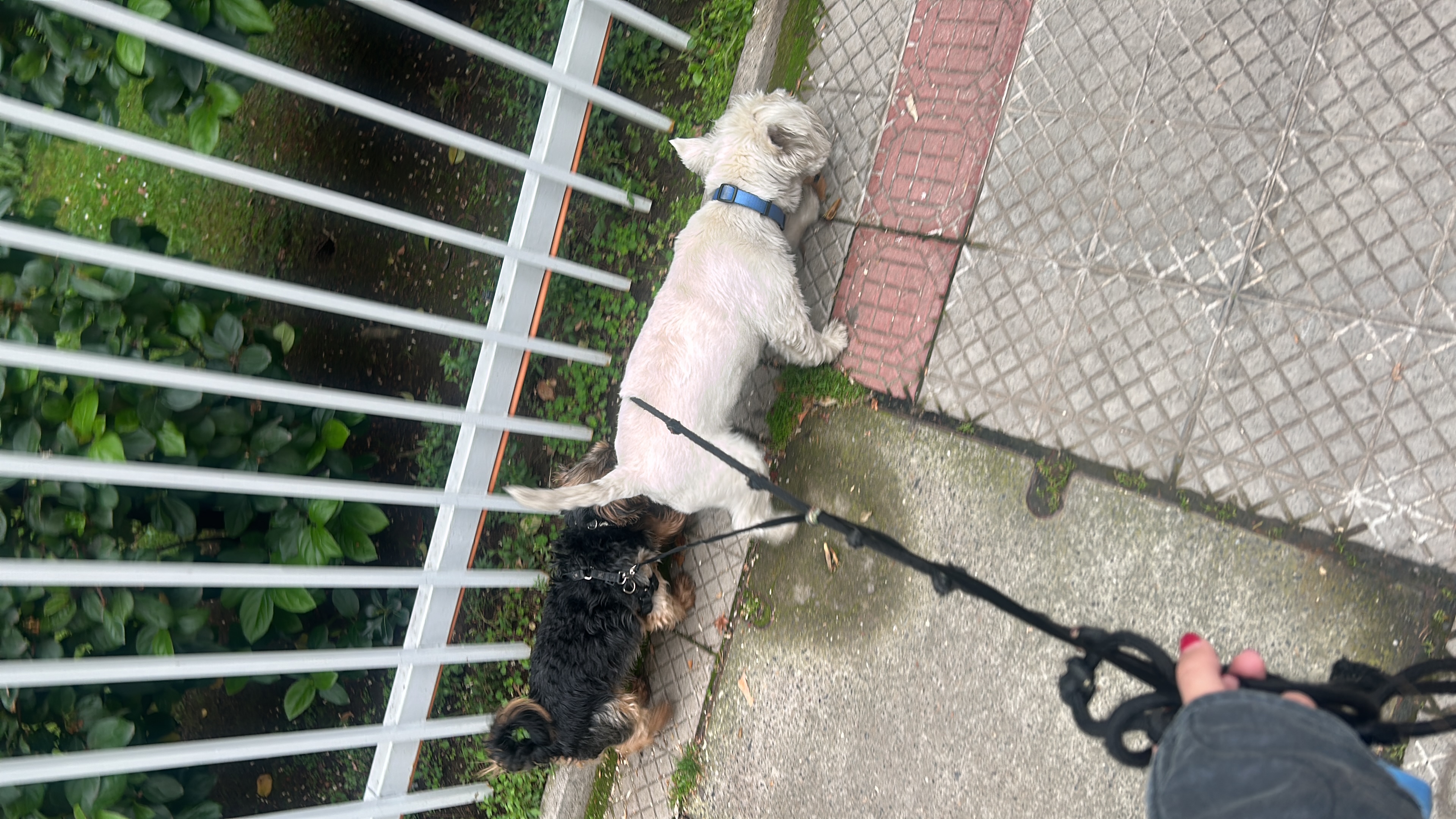image-8