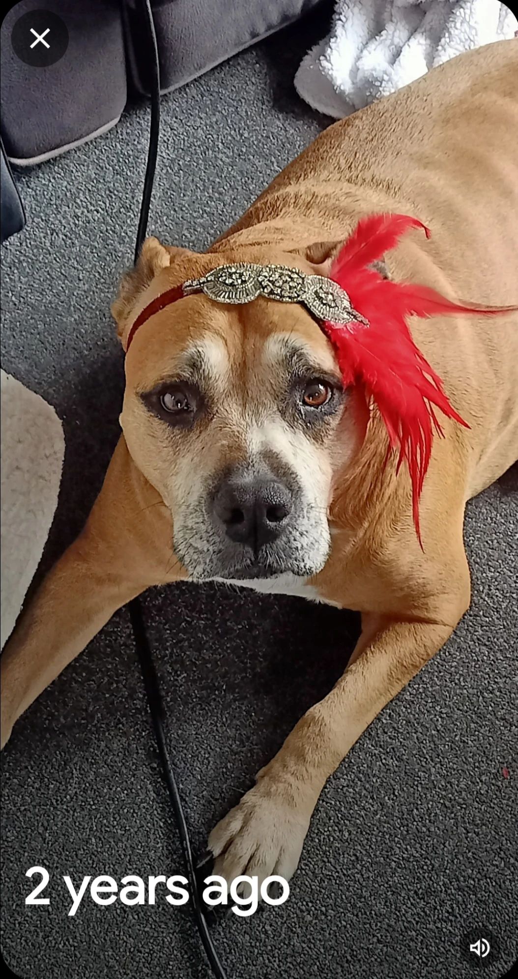 image-20