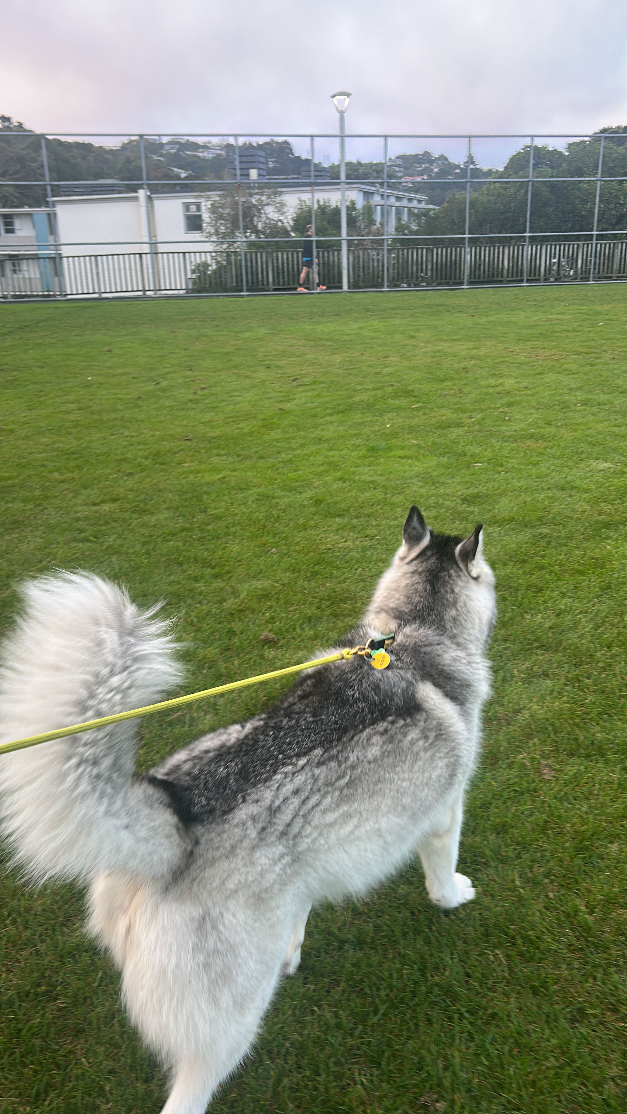 image-6