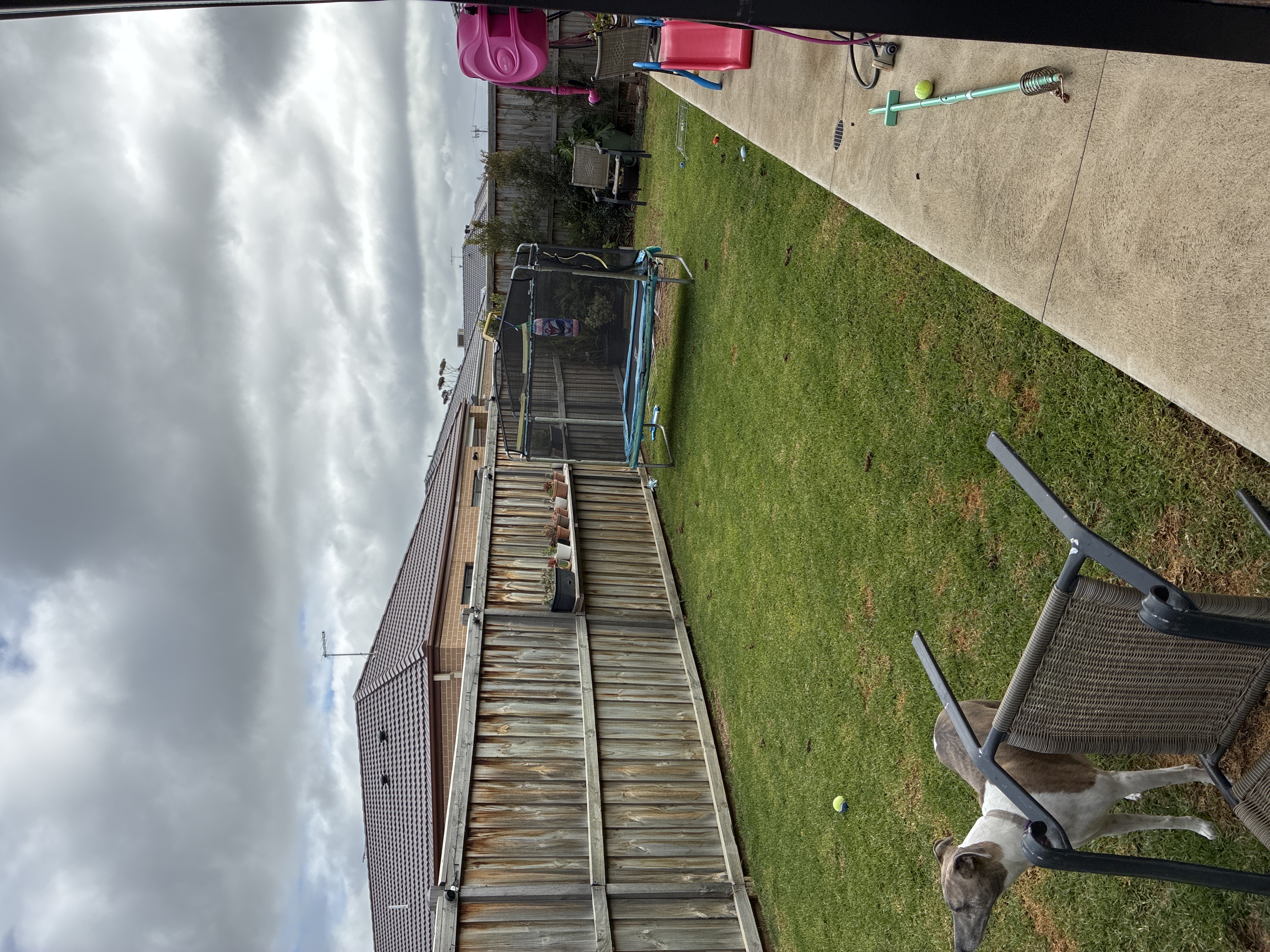 image-16