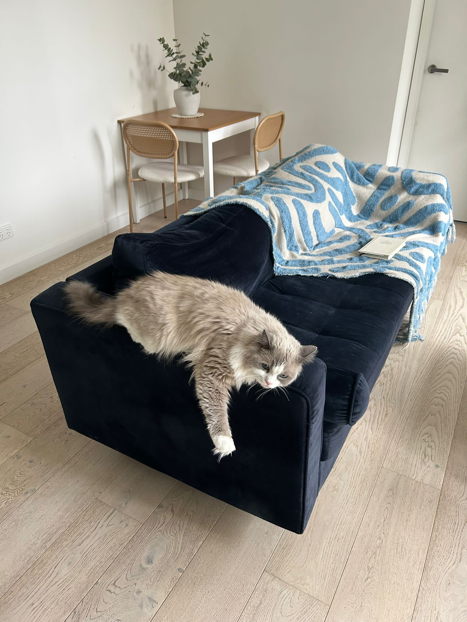 image-12