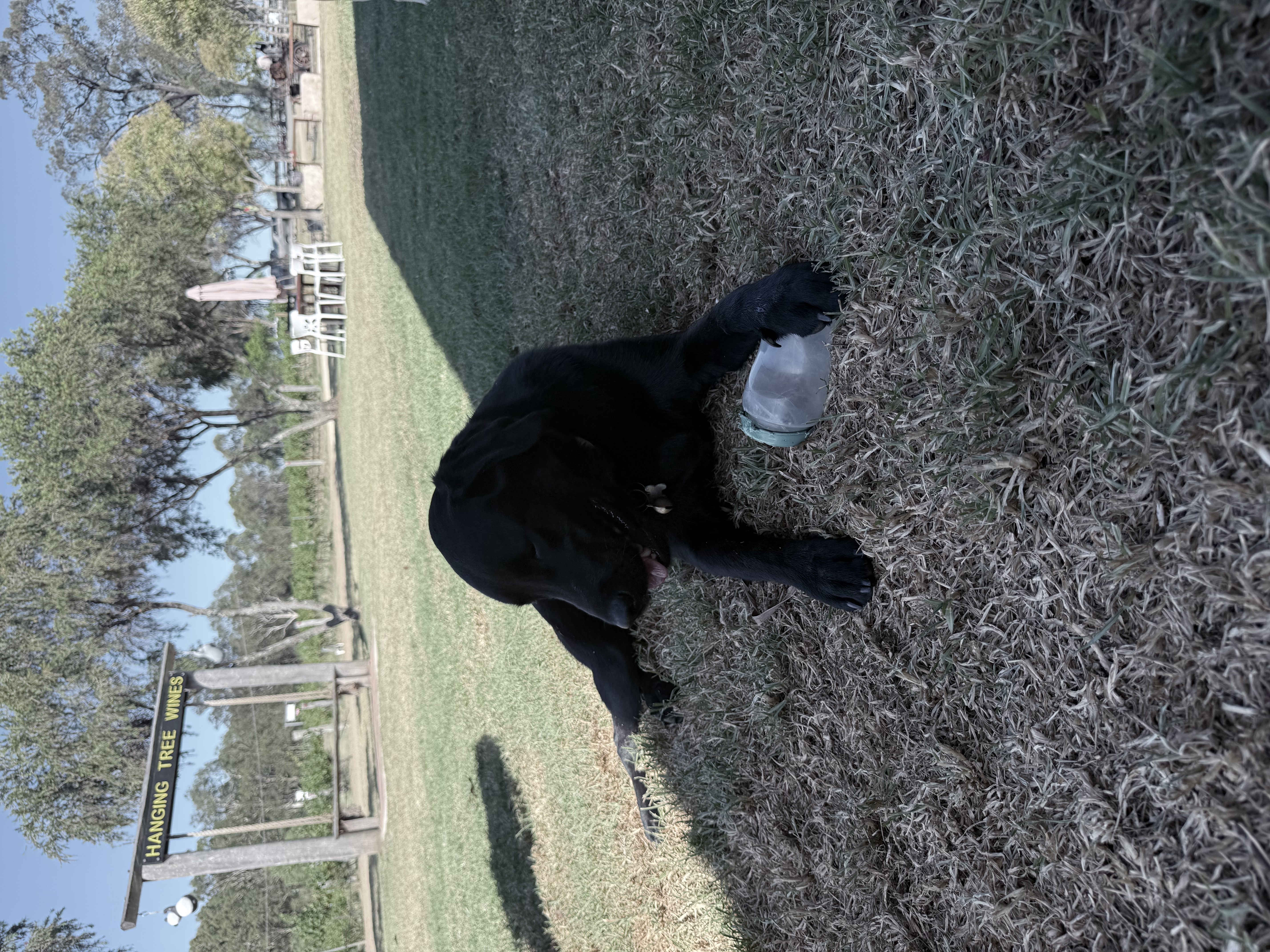 image-7
