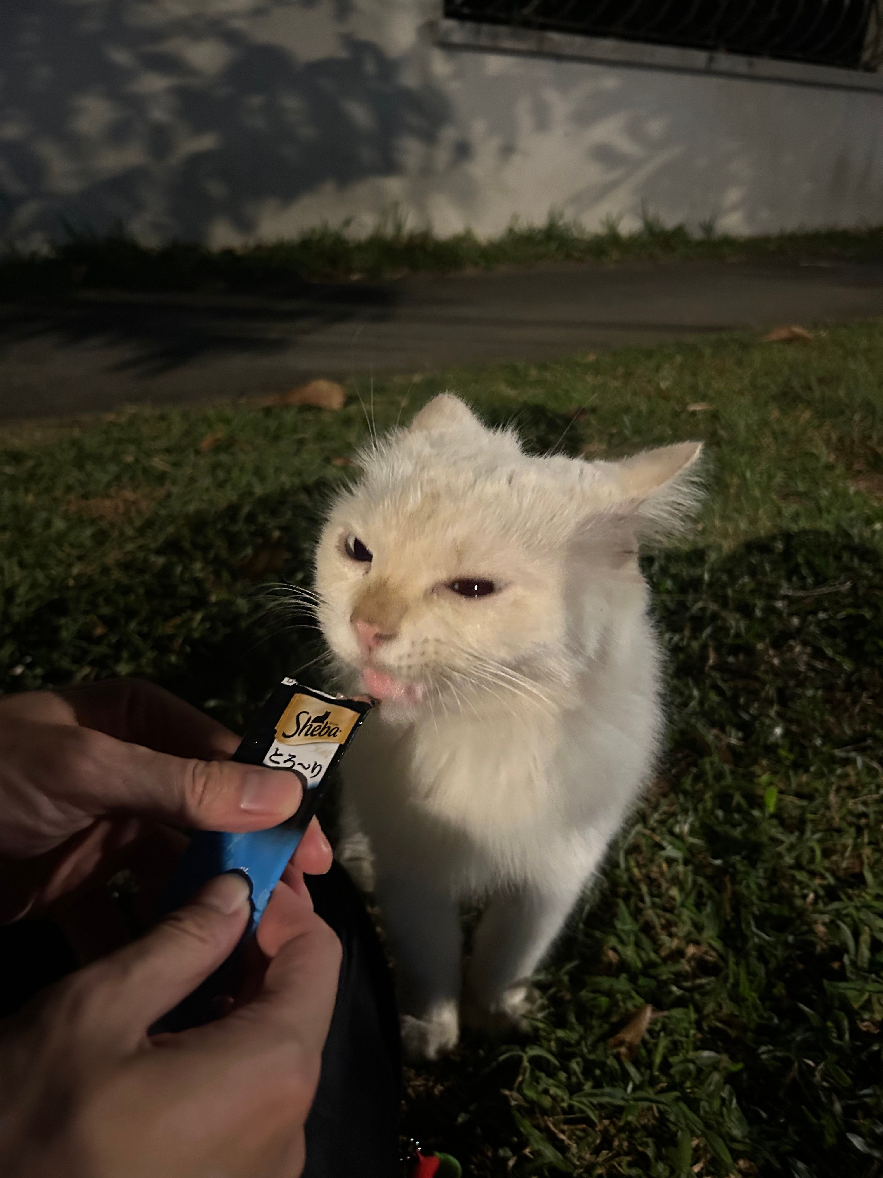 image-7
