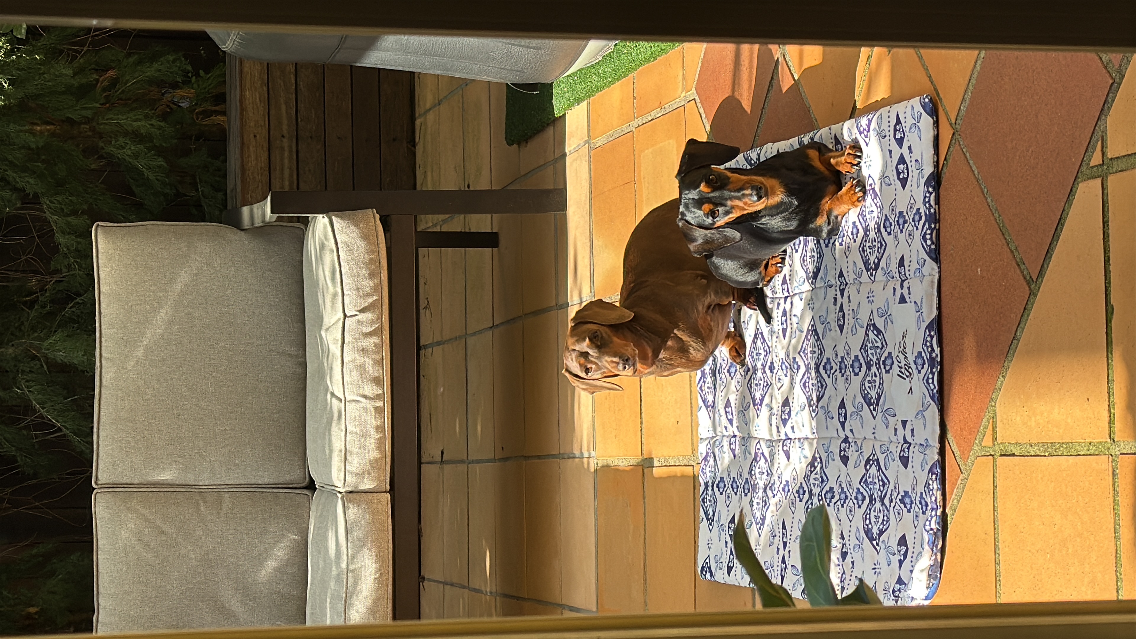 image-47