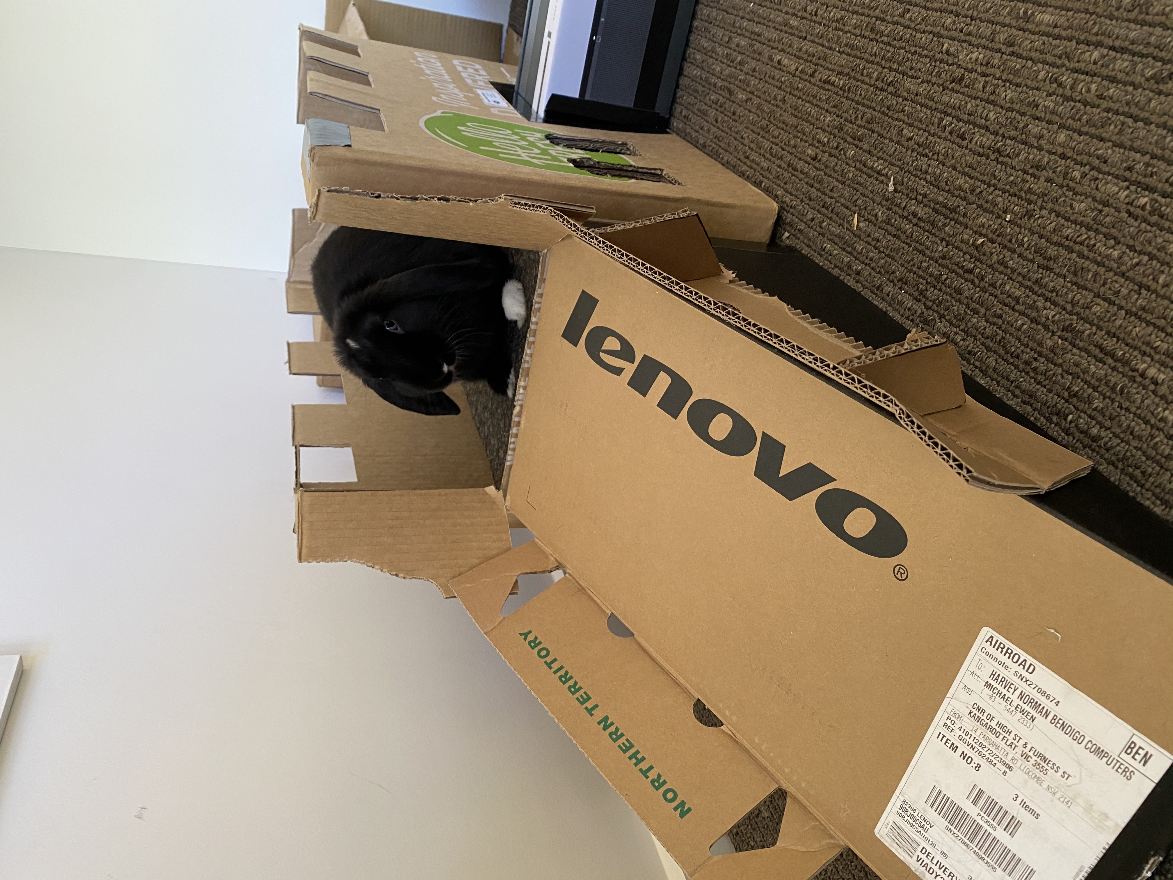 image-6