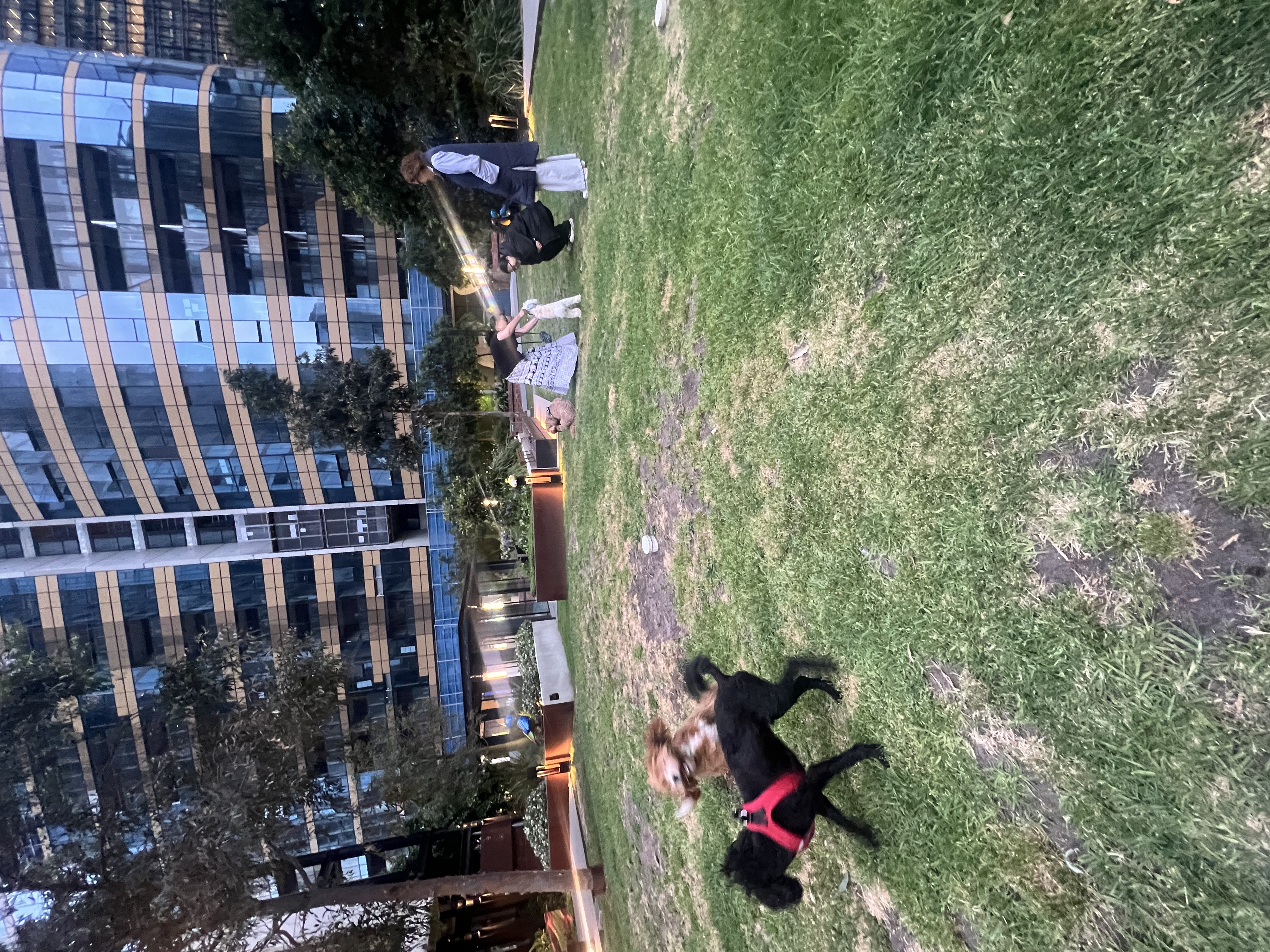 image-12