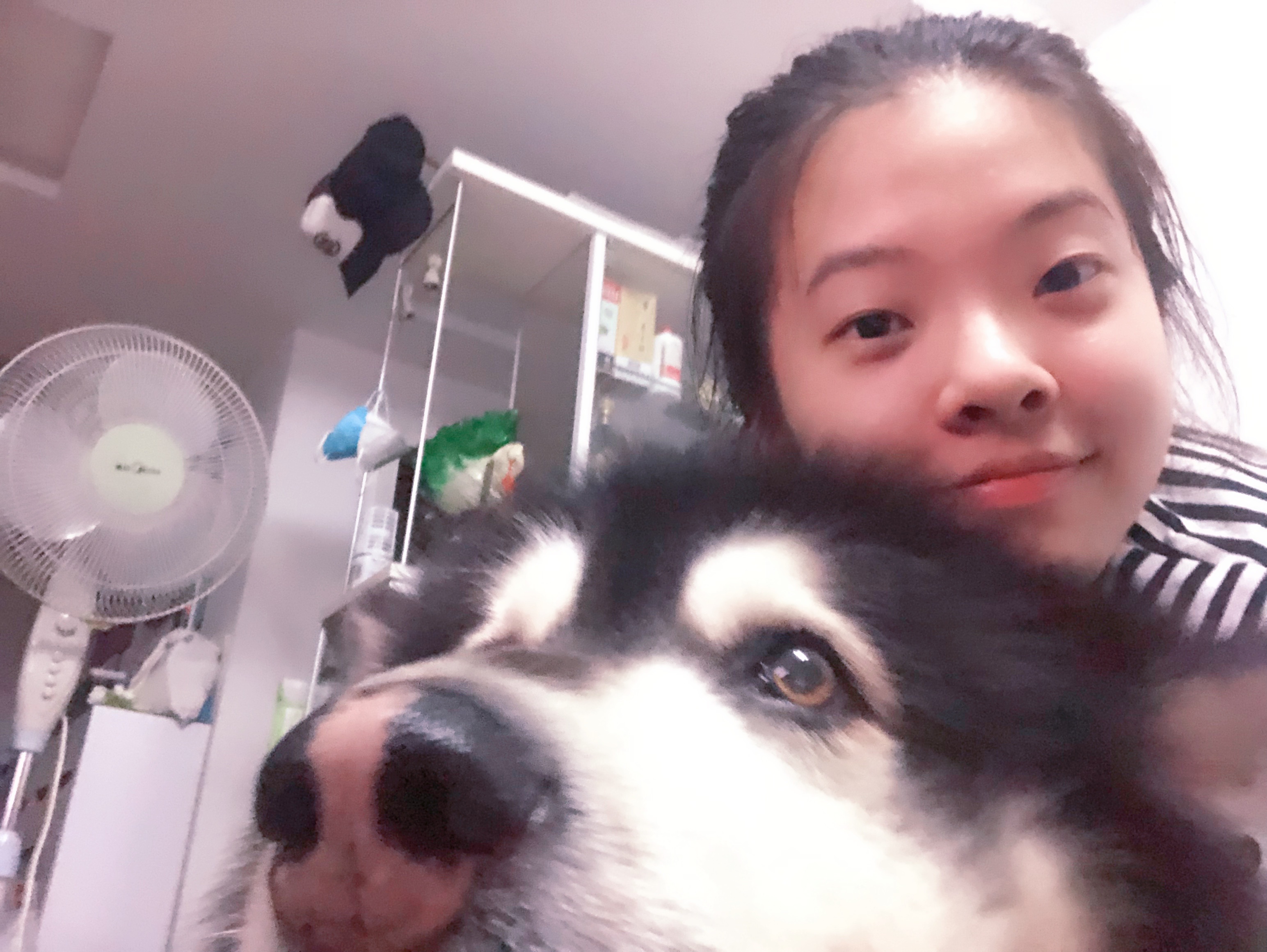 image-14