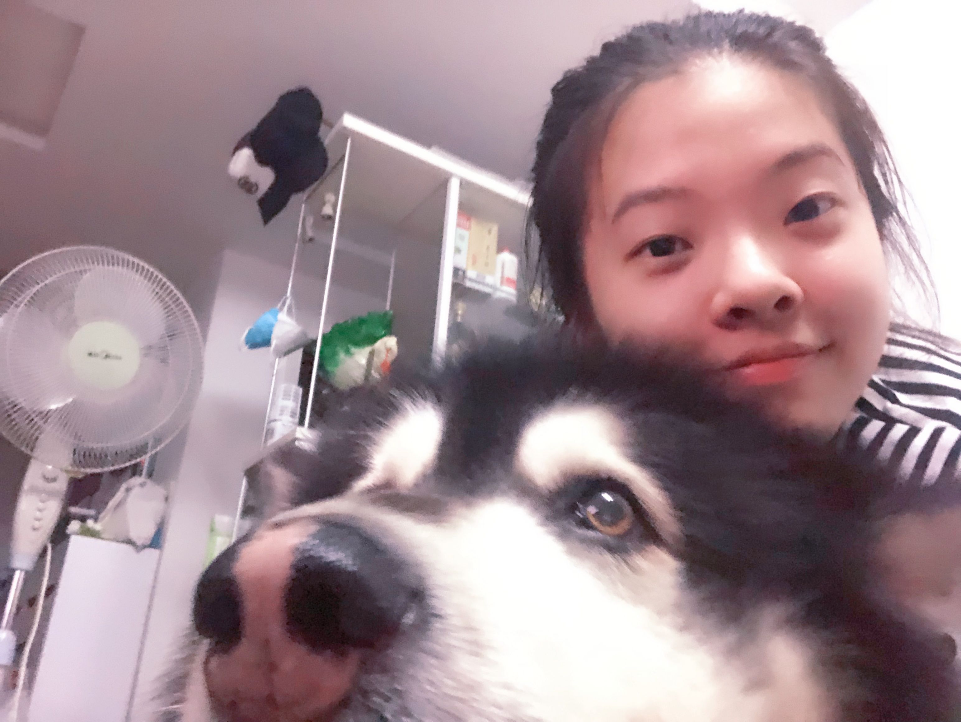 image-14