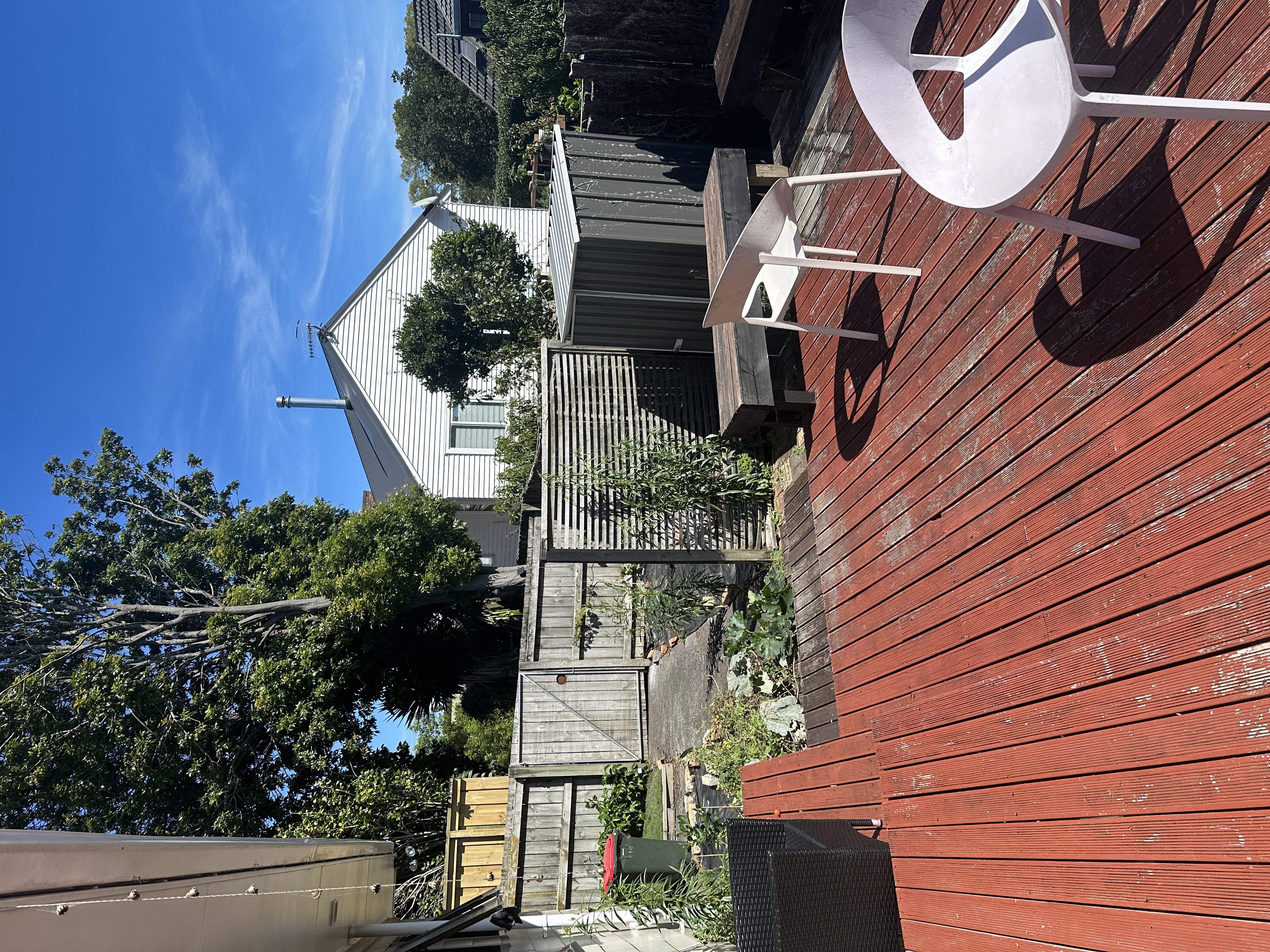 image-19