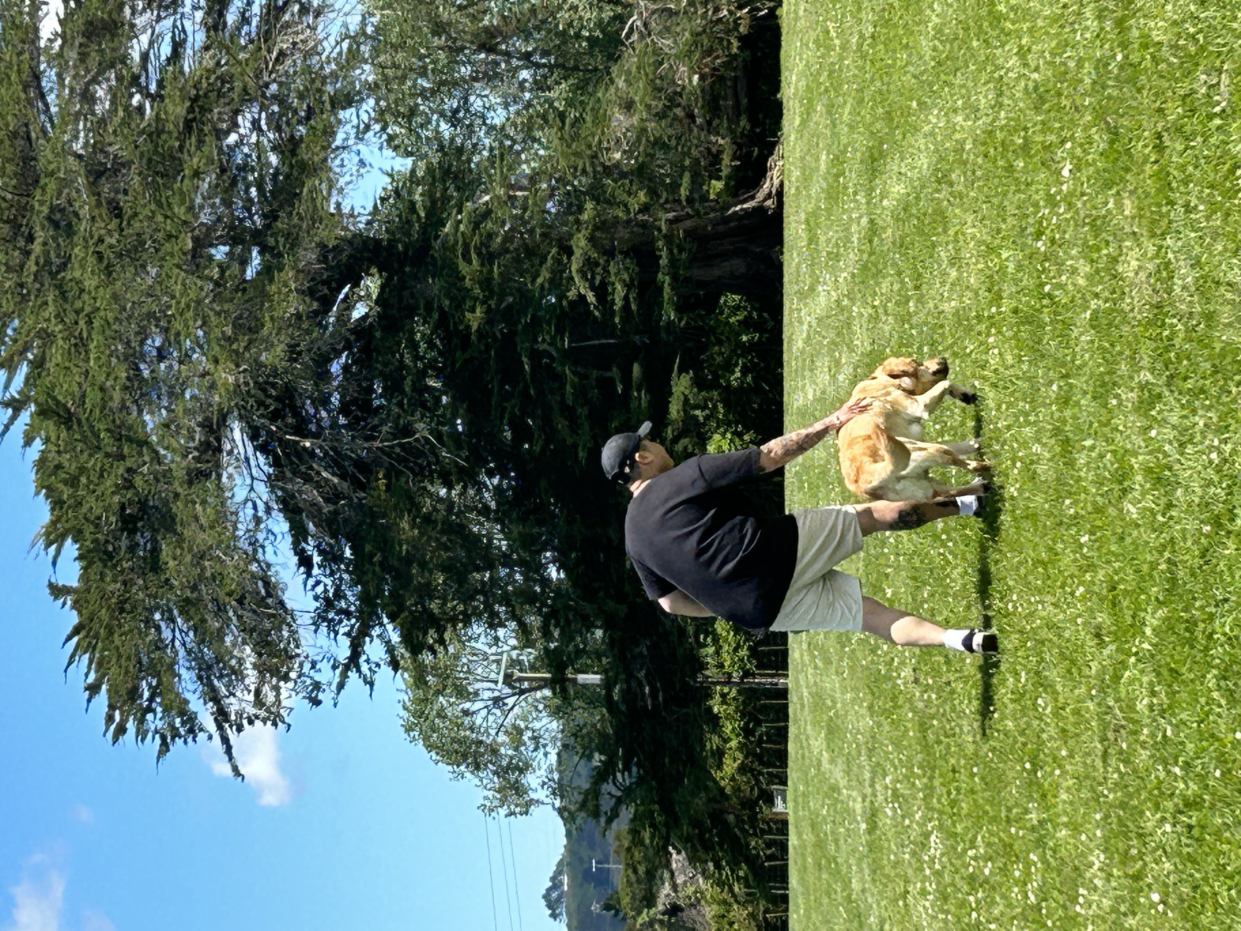image-14