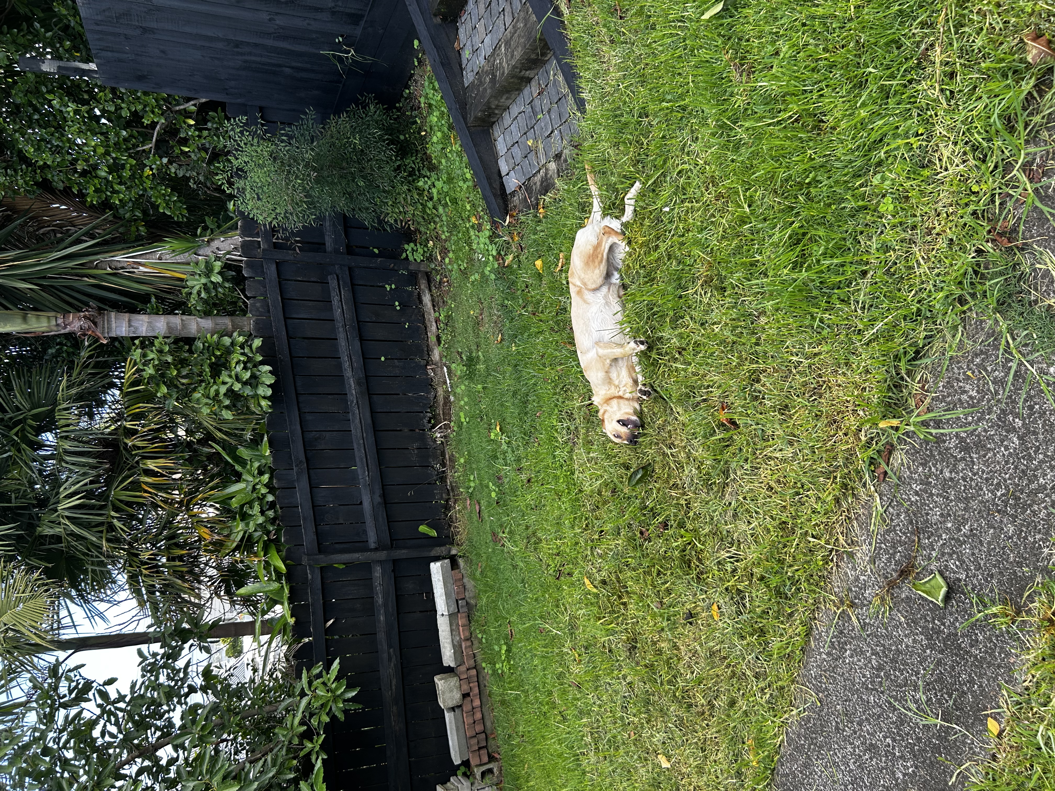 image-18