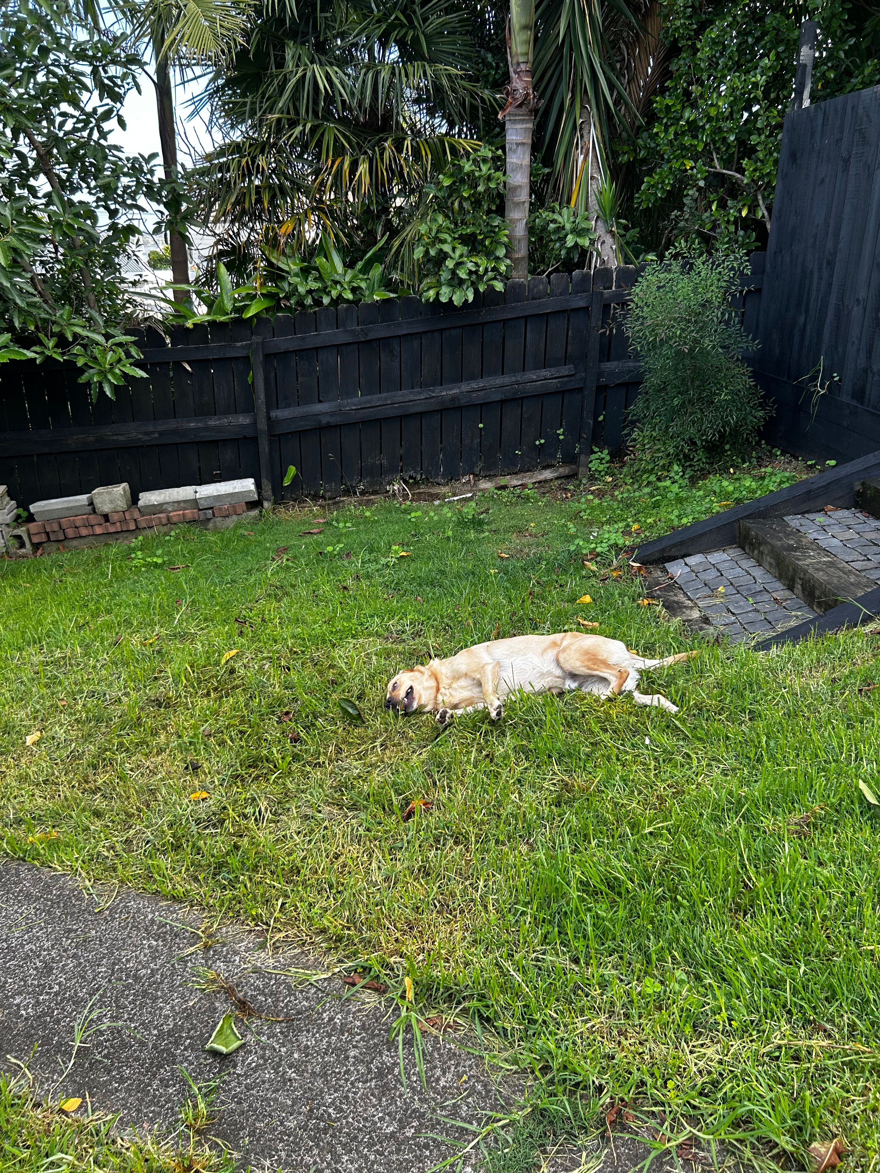image-18