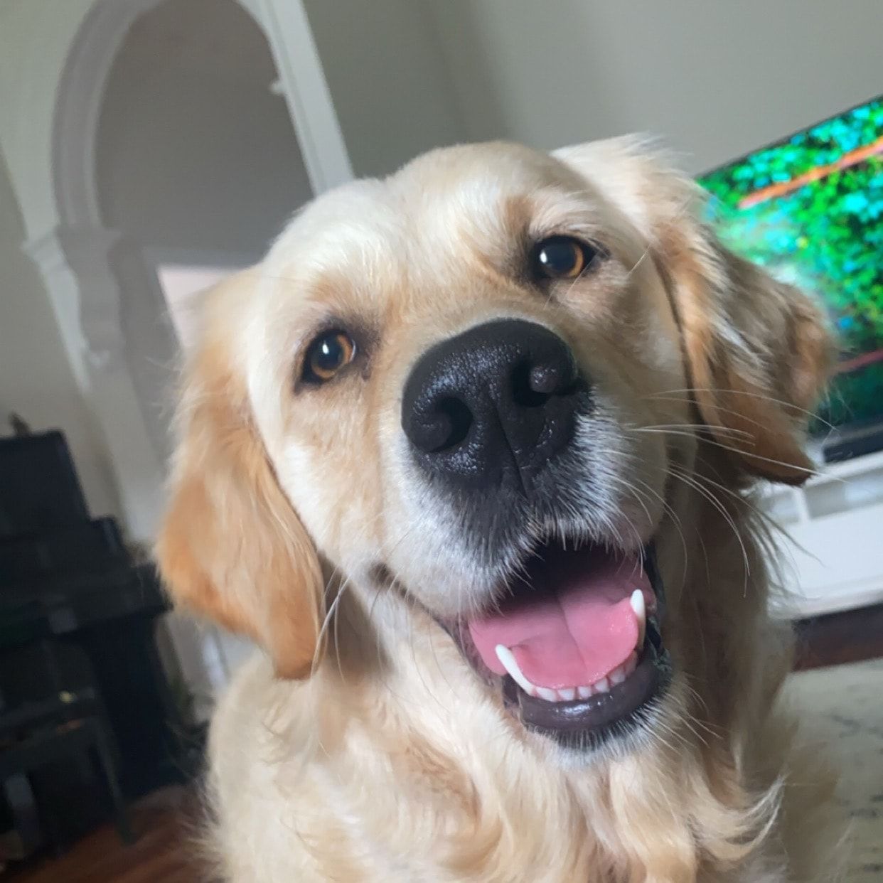 Luna
