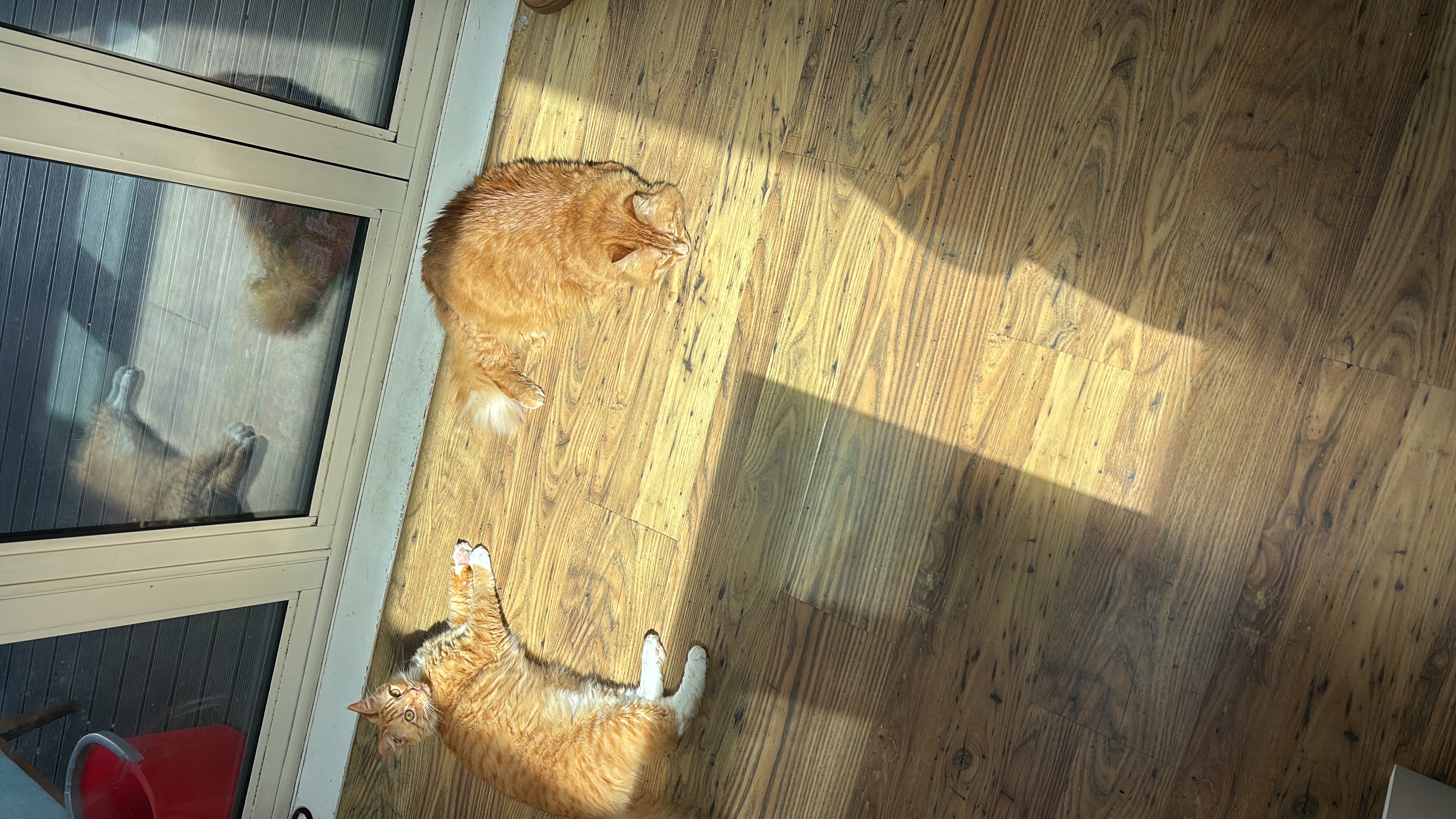 image-9