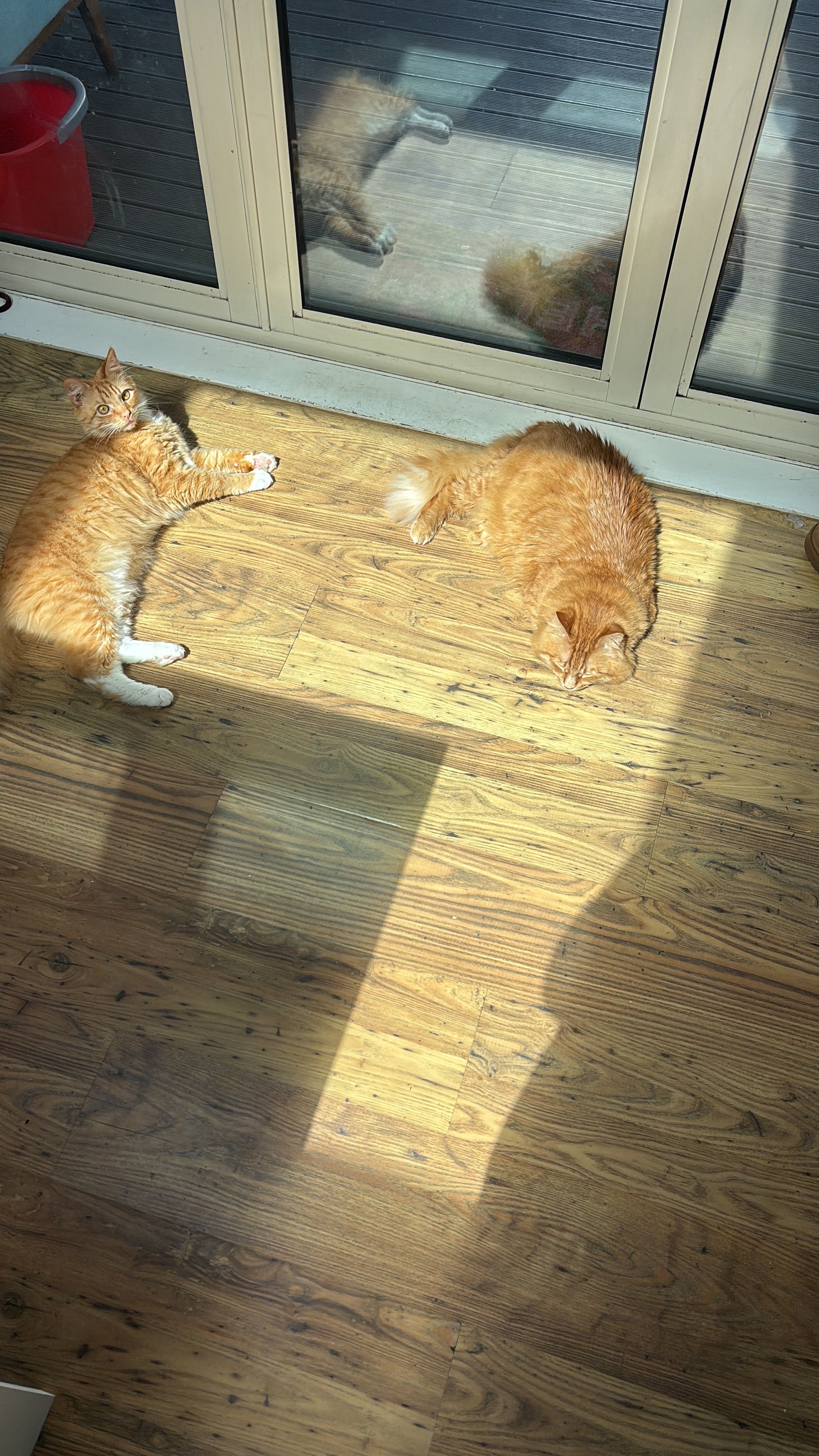 image-9