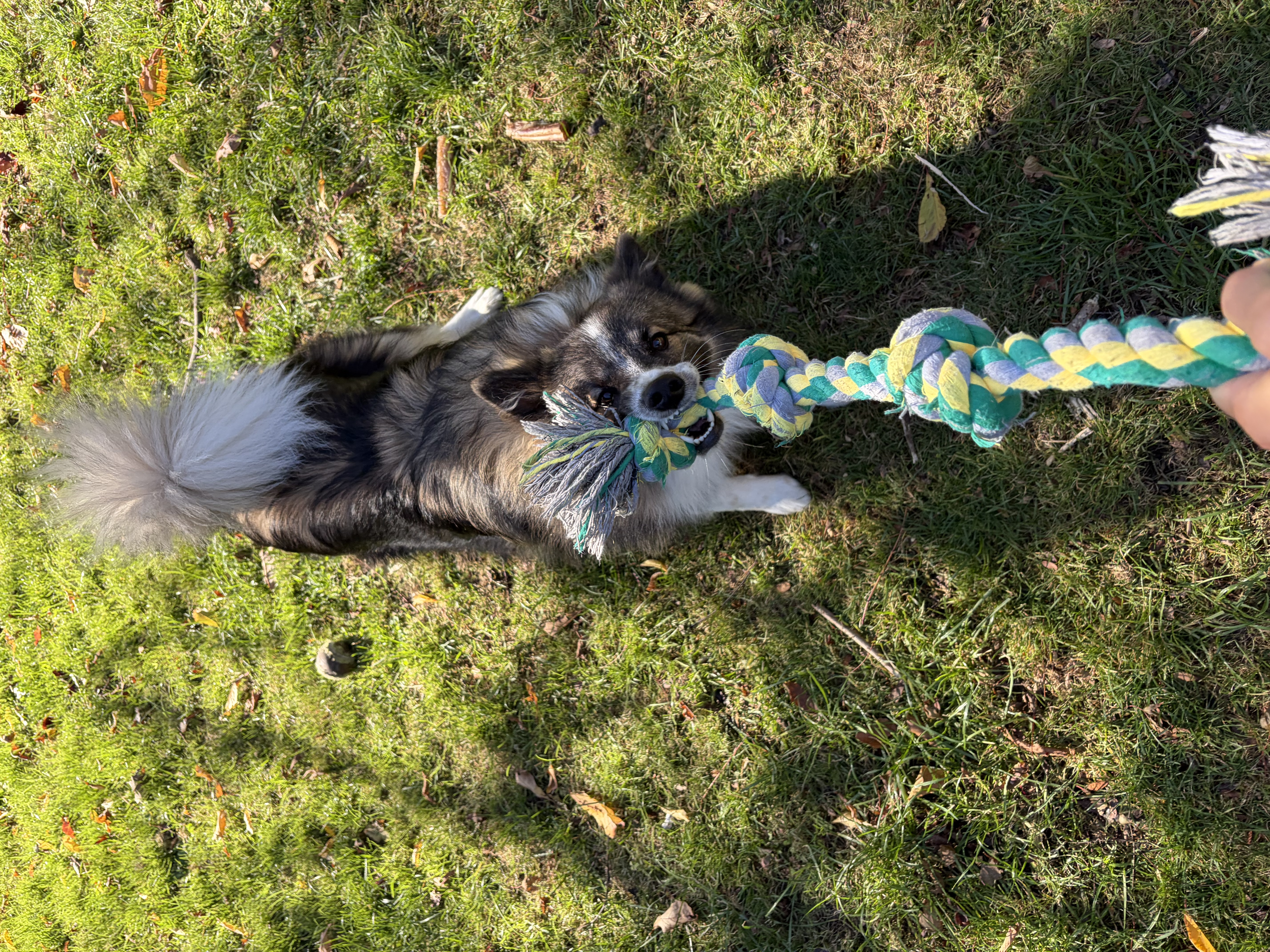 image-7