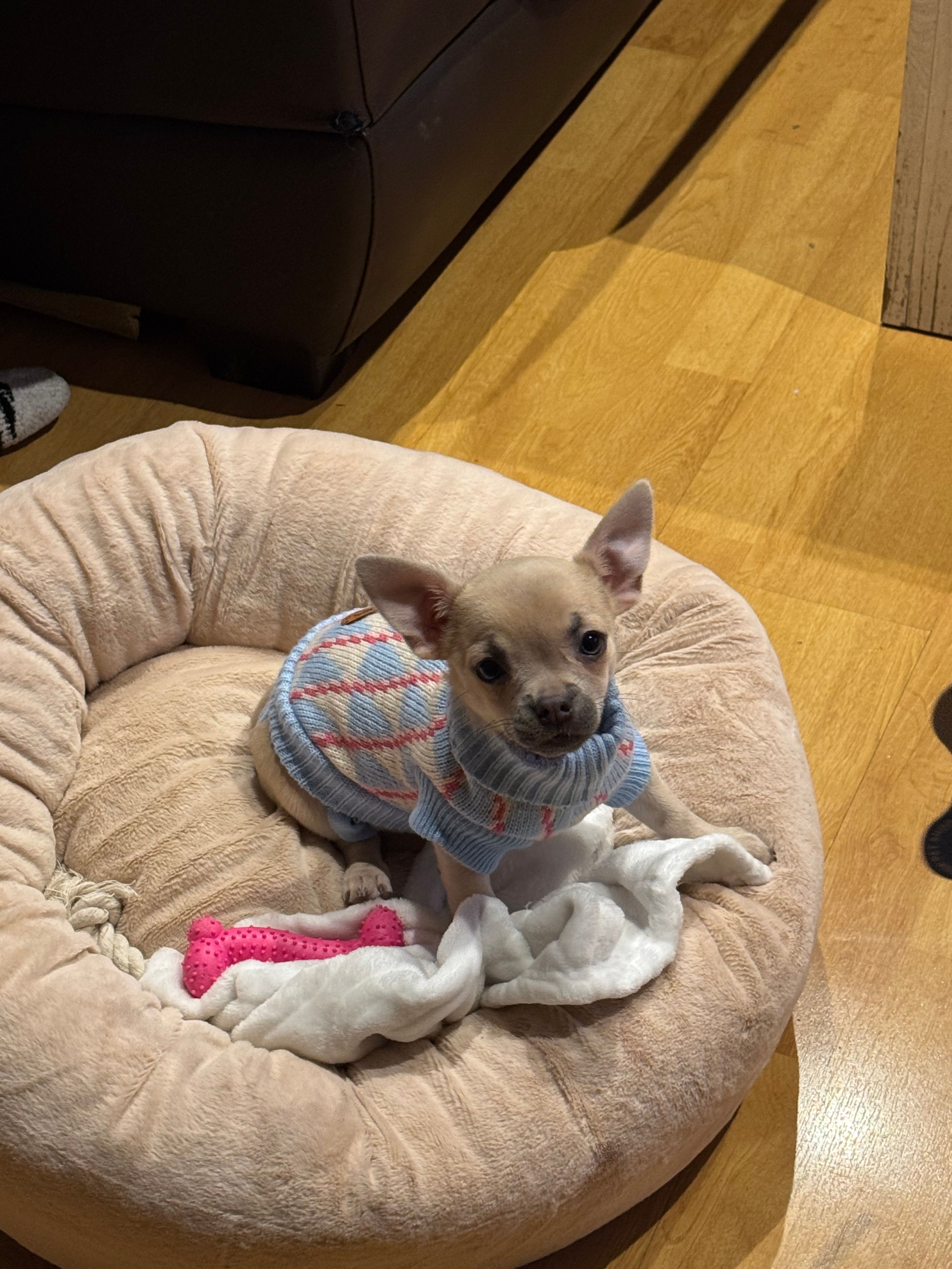 image-11