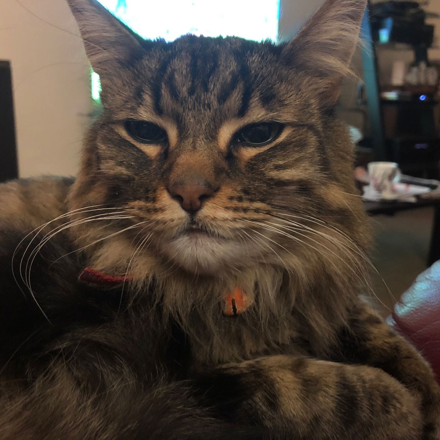 Tigger