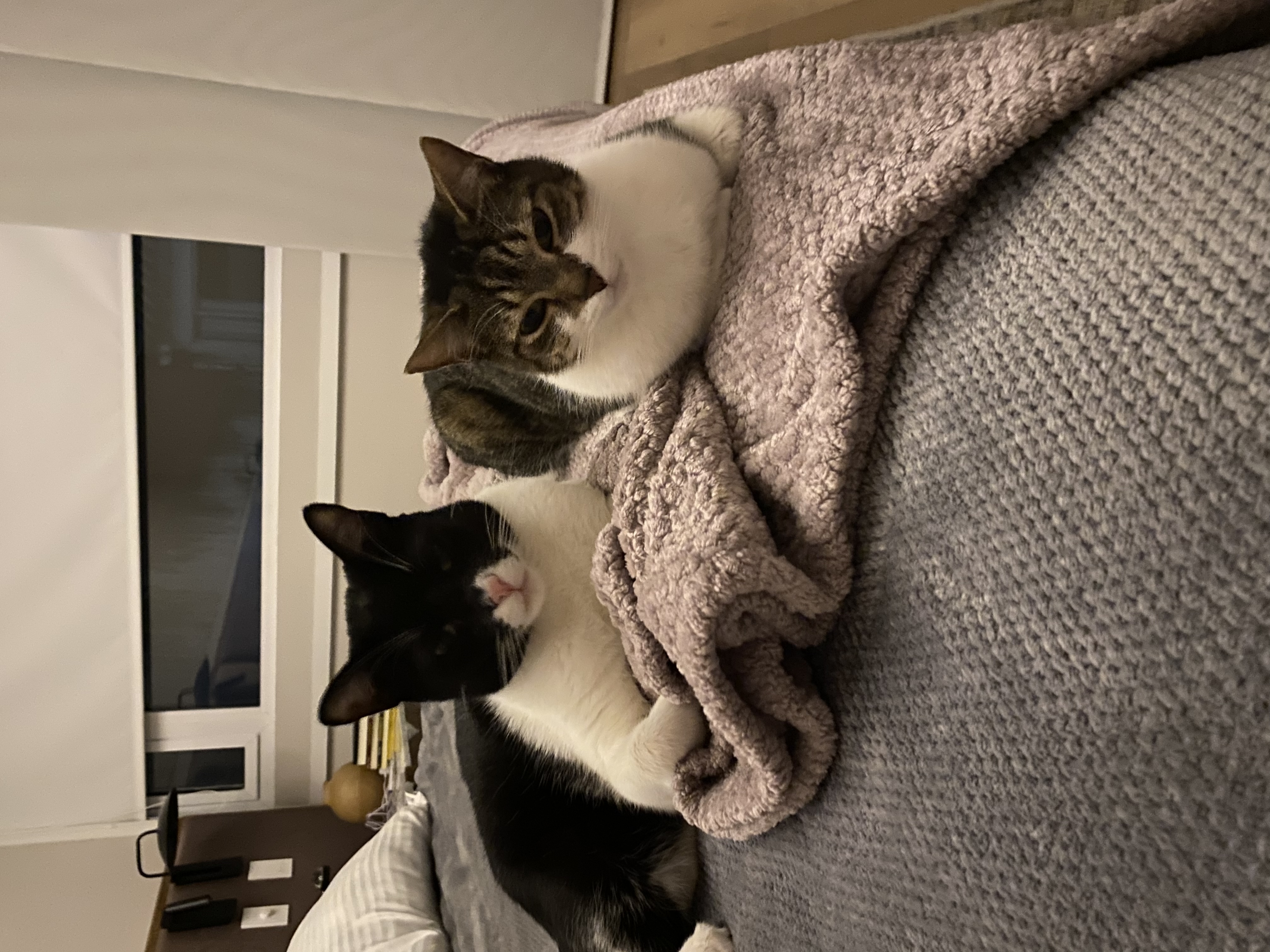 image-14