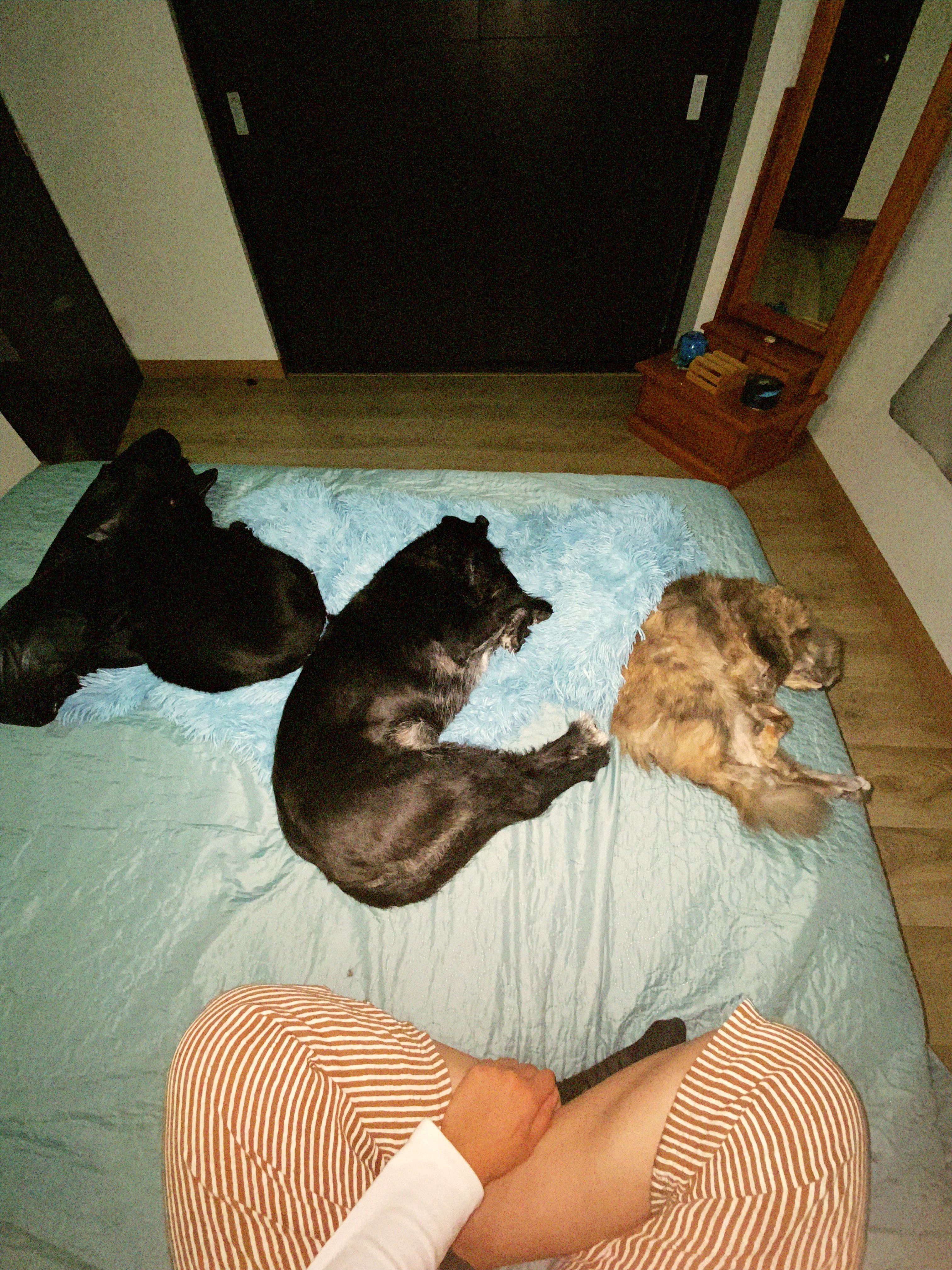 image-3