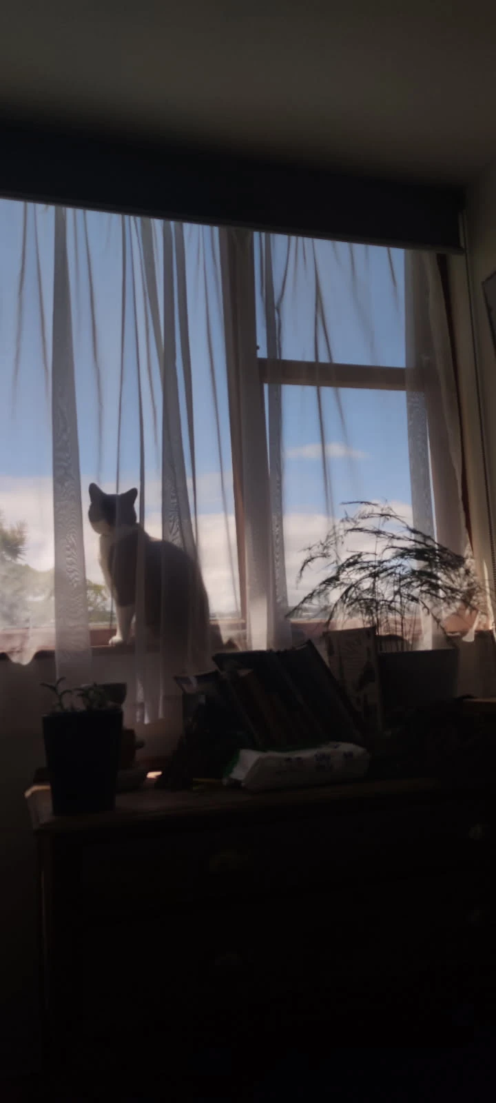 image-17