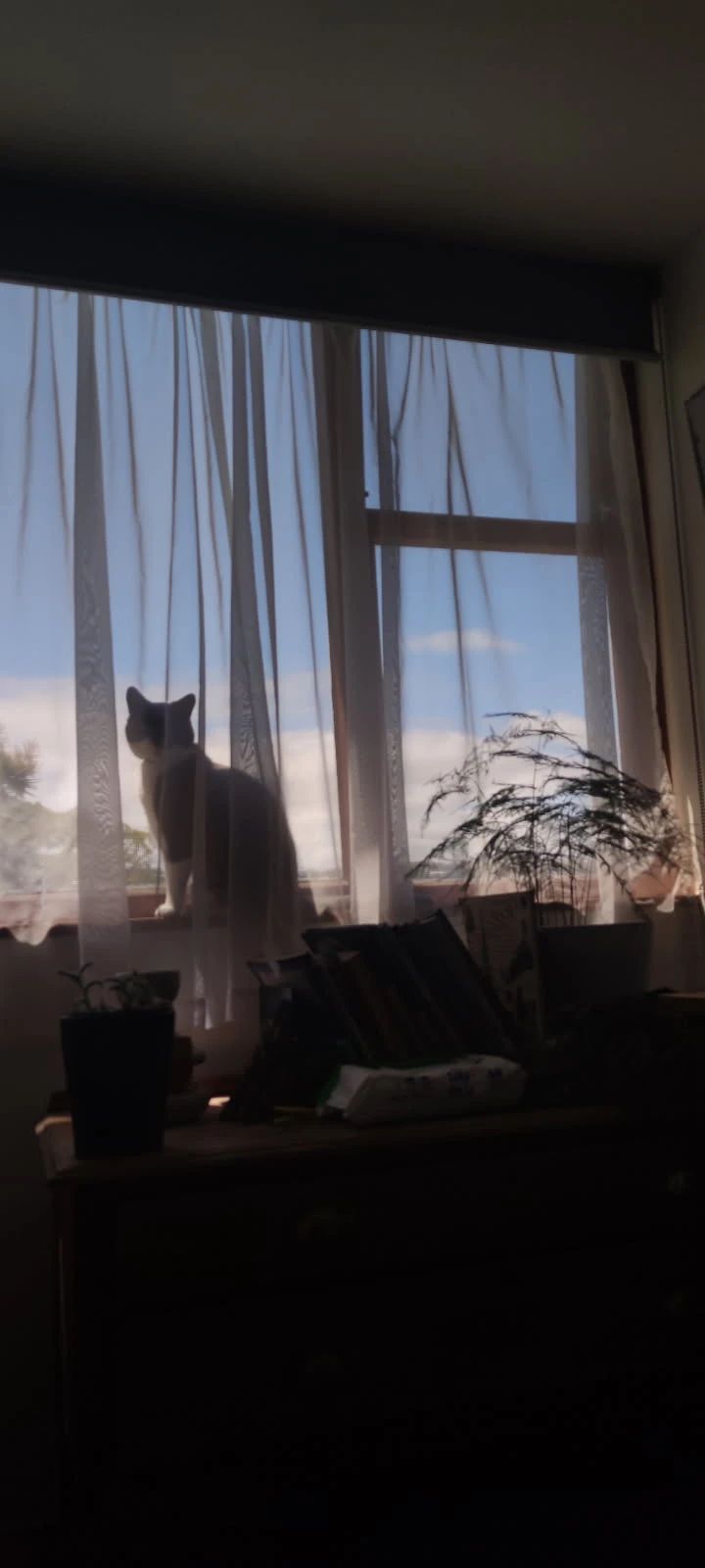 image-17