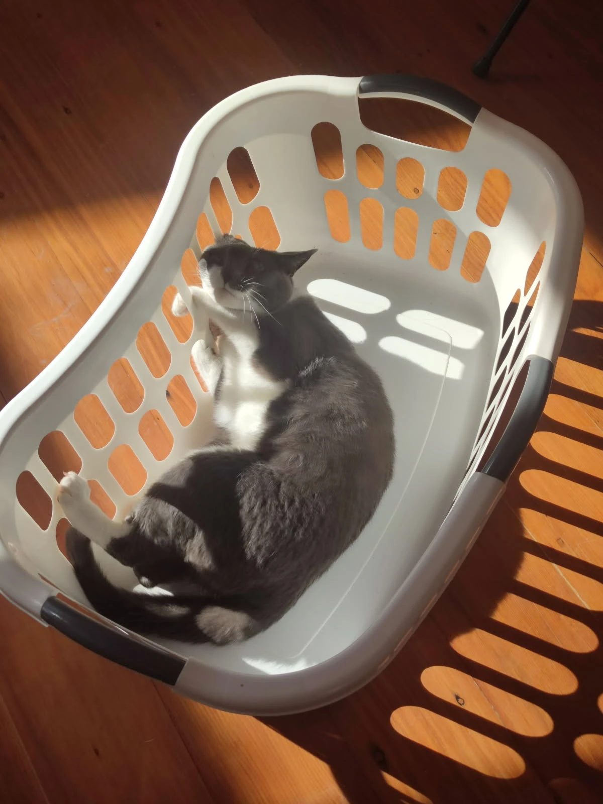 image-19