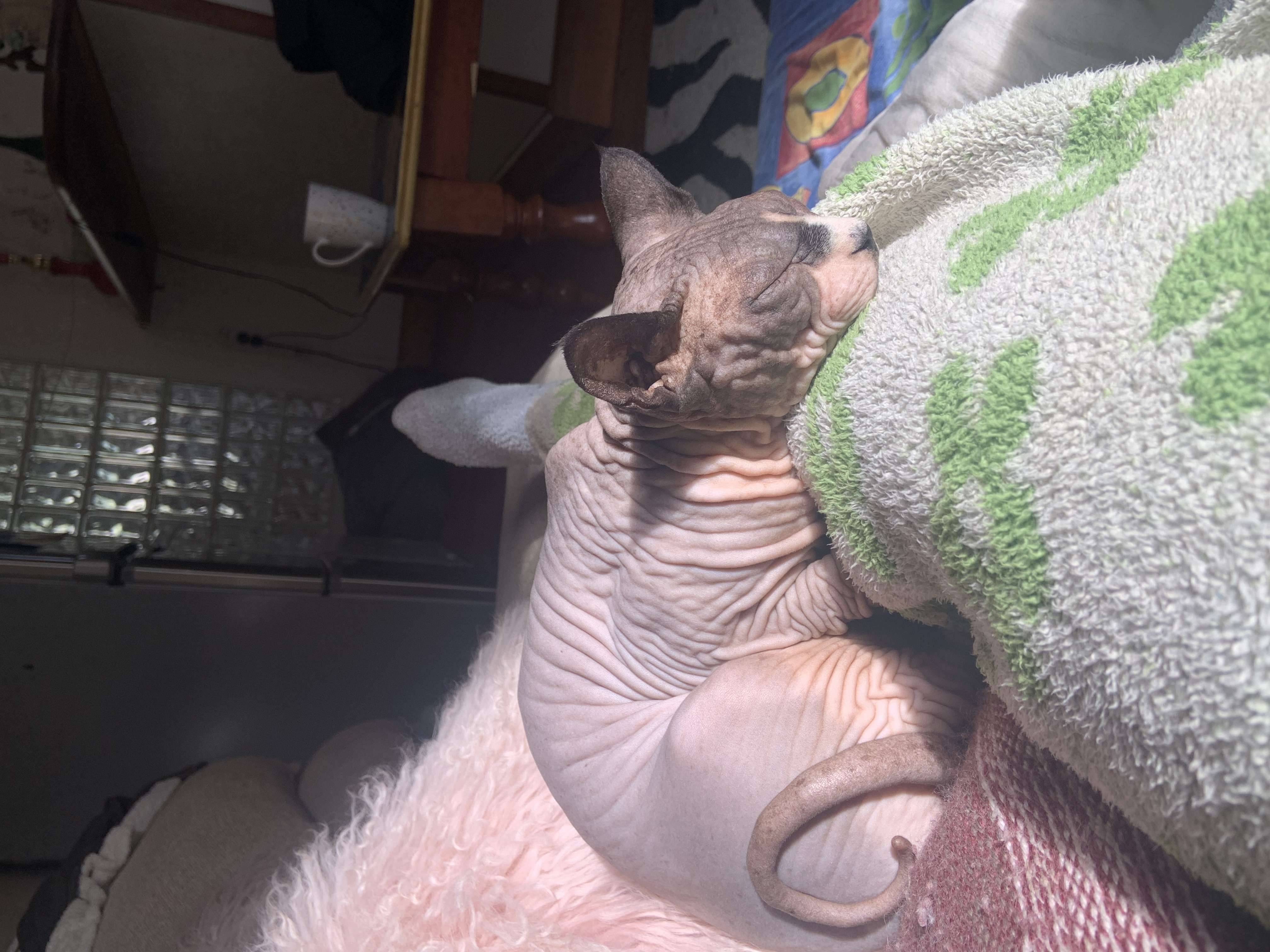 image-6