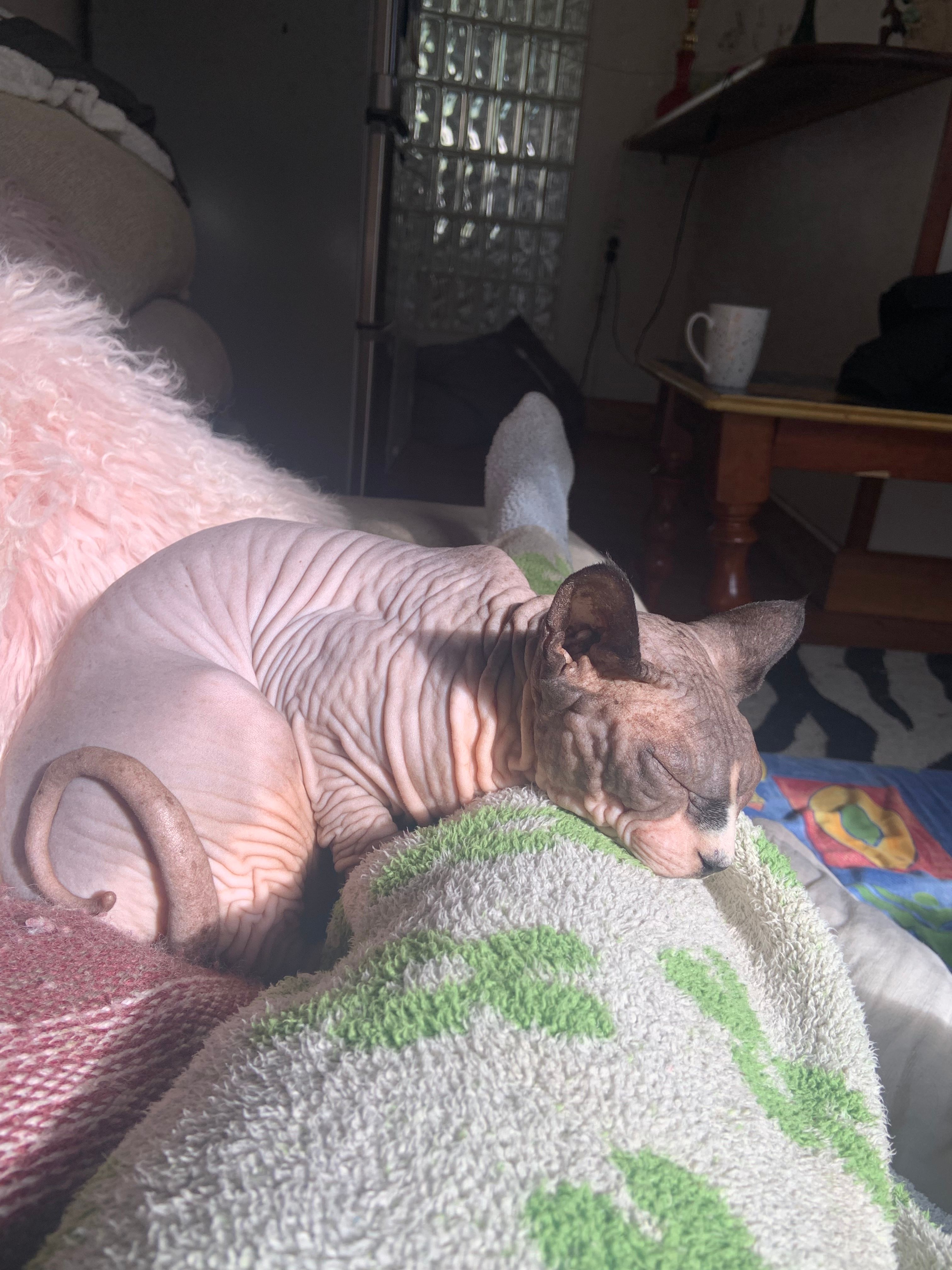 image-6