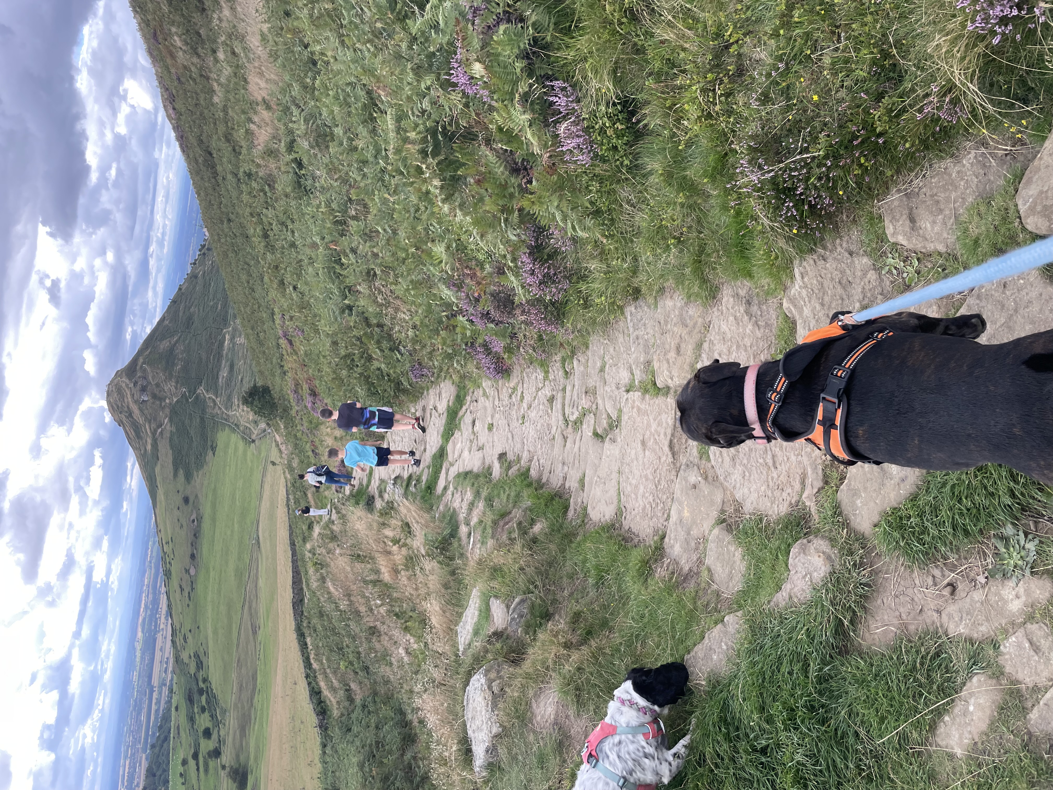 image-3