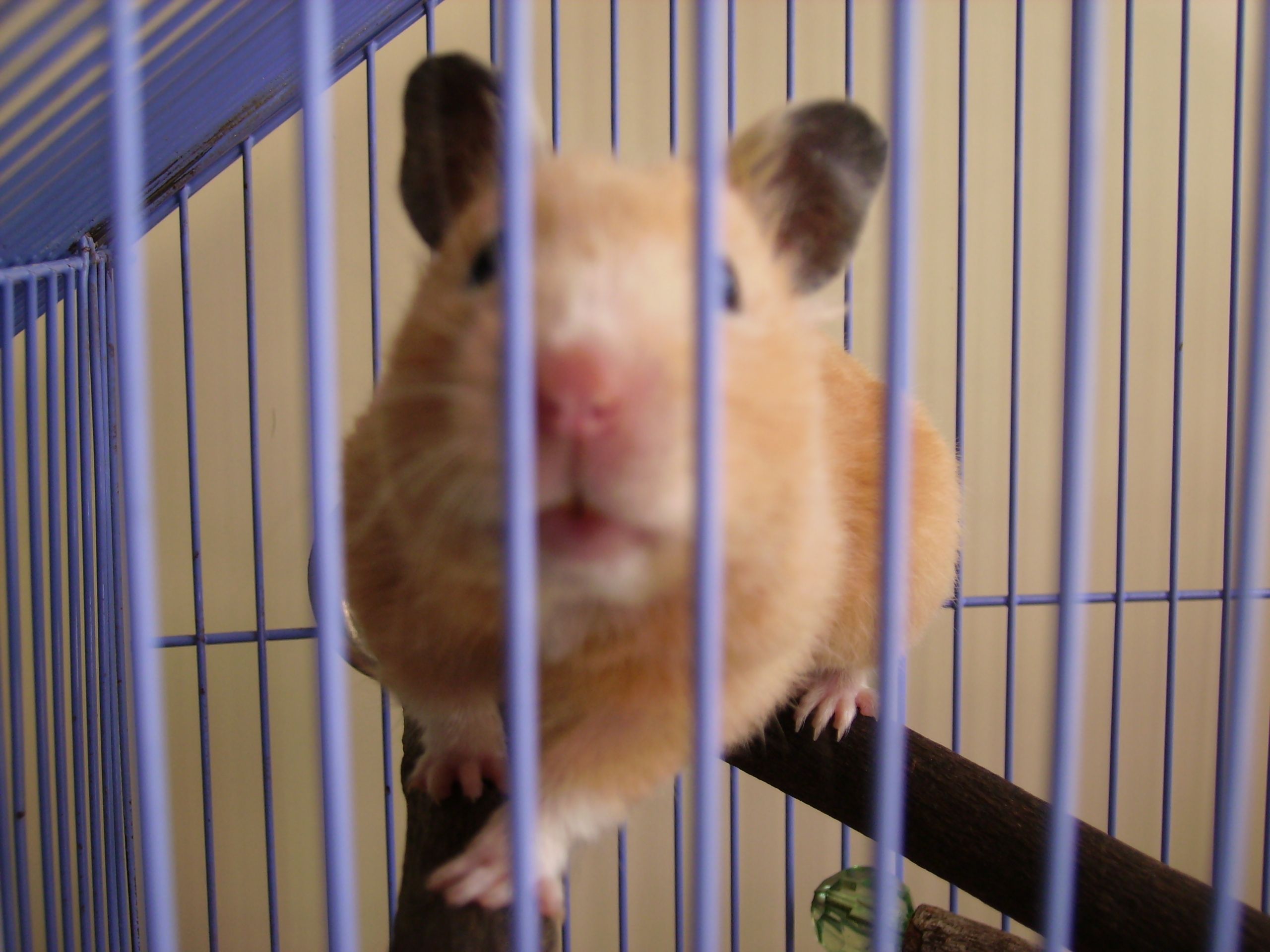 image-5