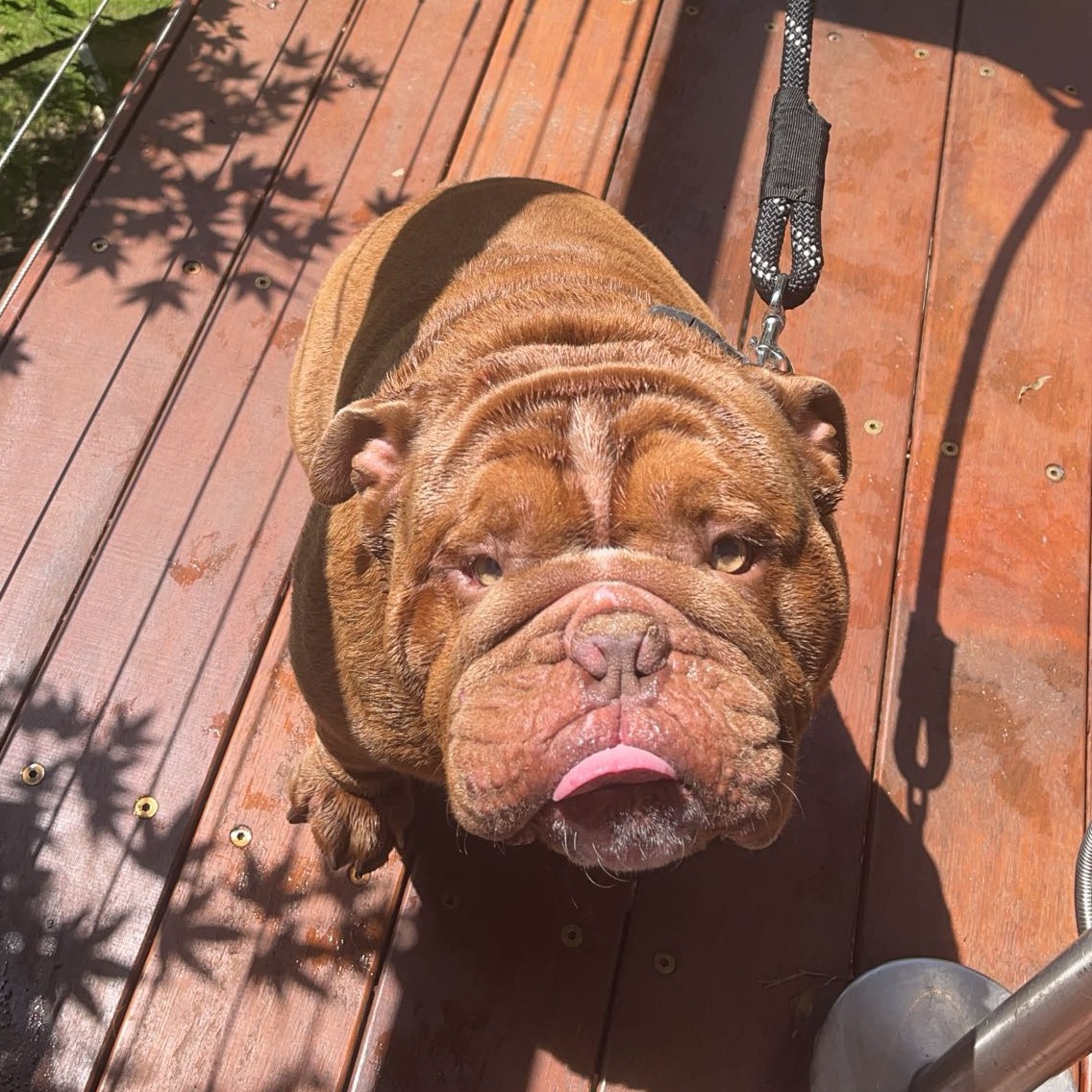 Benson