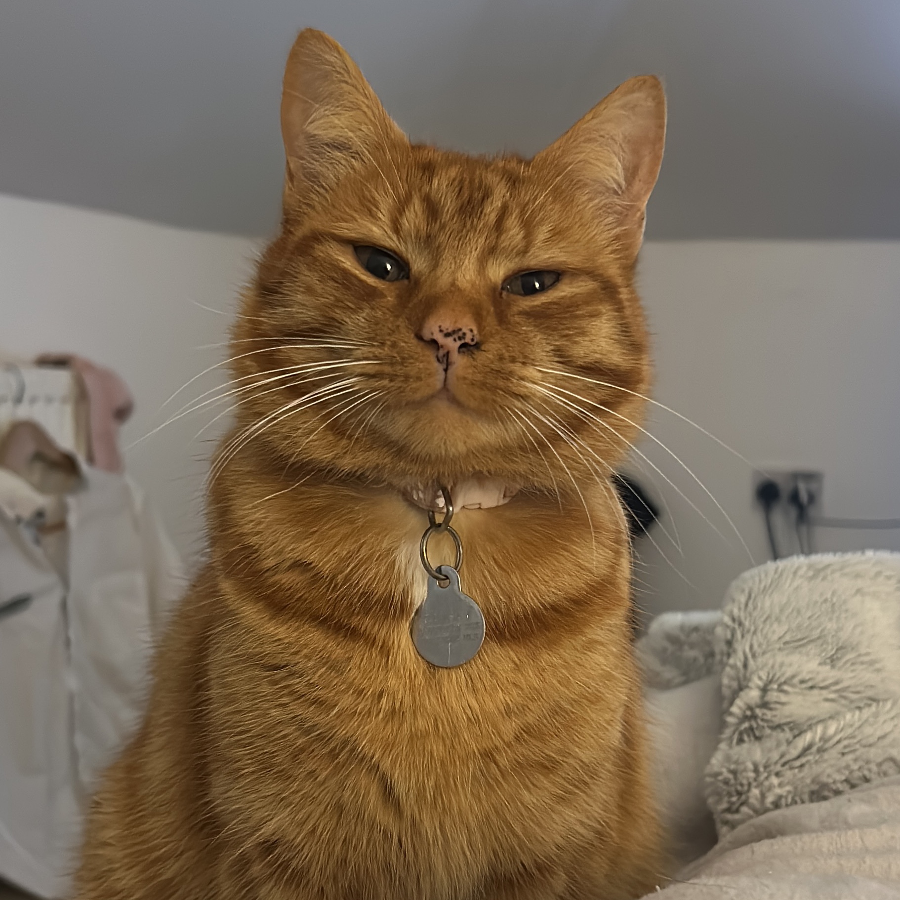 Nala (lives back in Scotland)