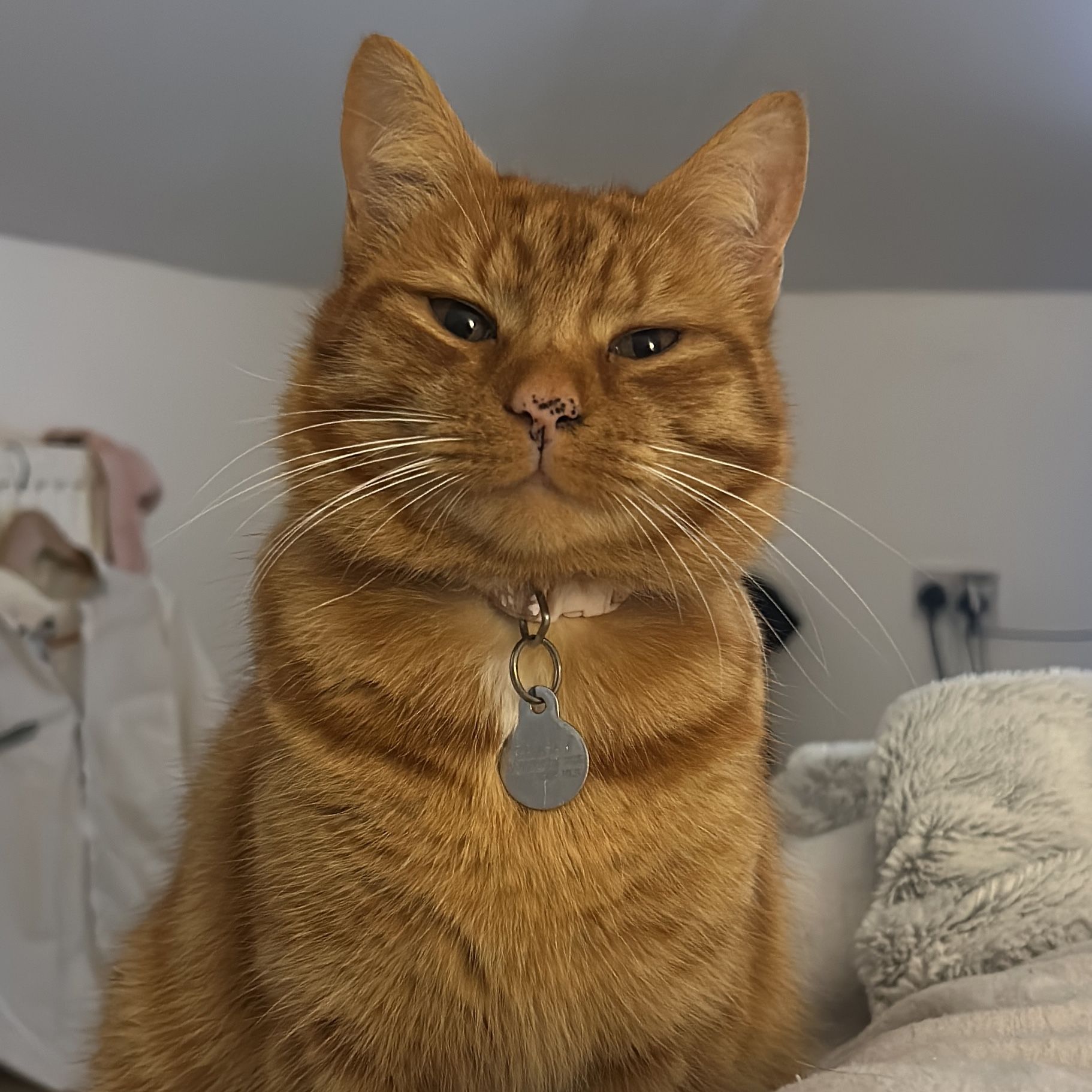 Nala (lives back in Scotland)