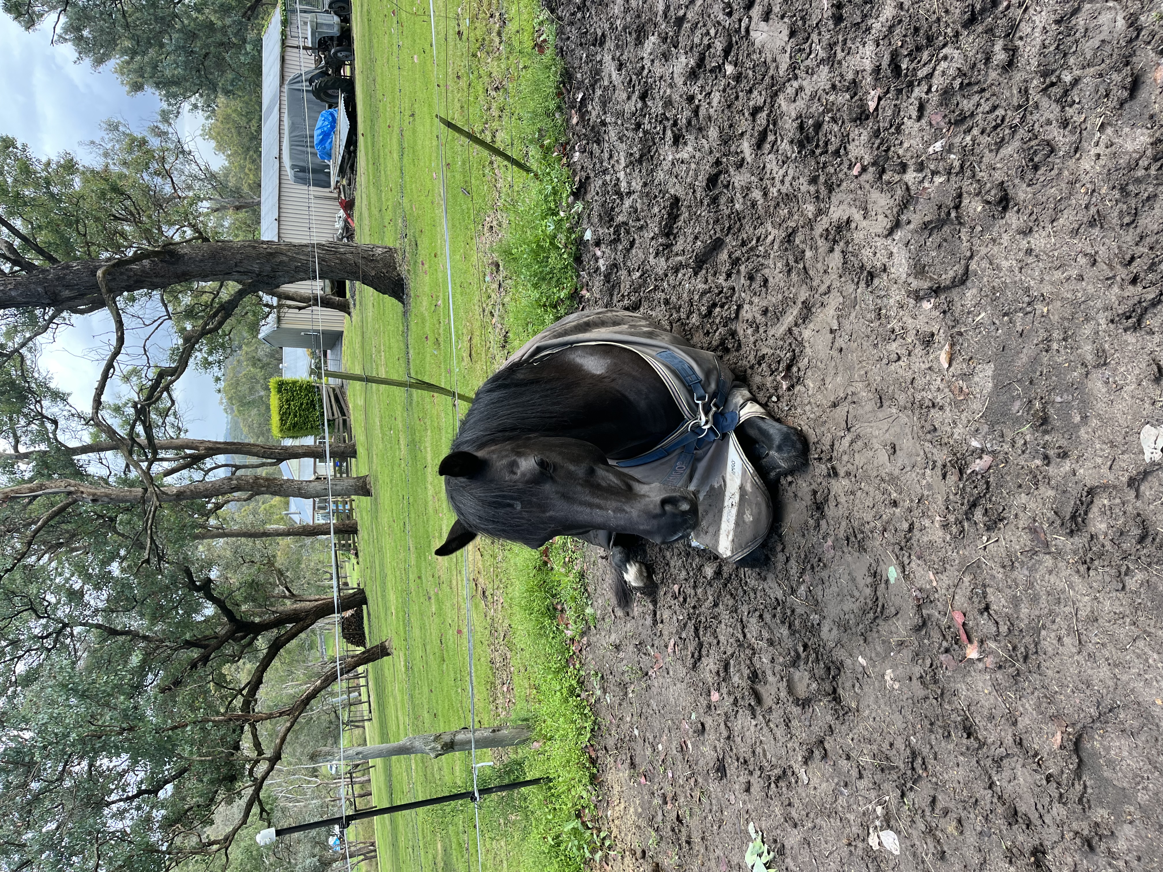 image-18