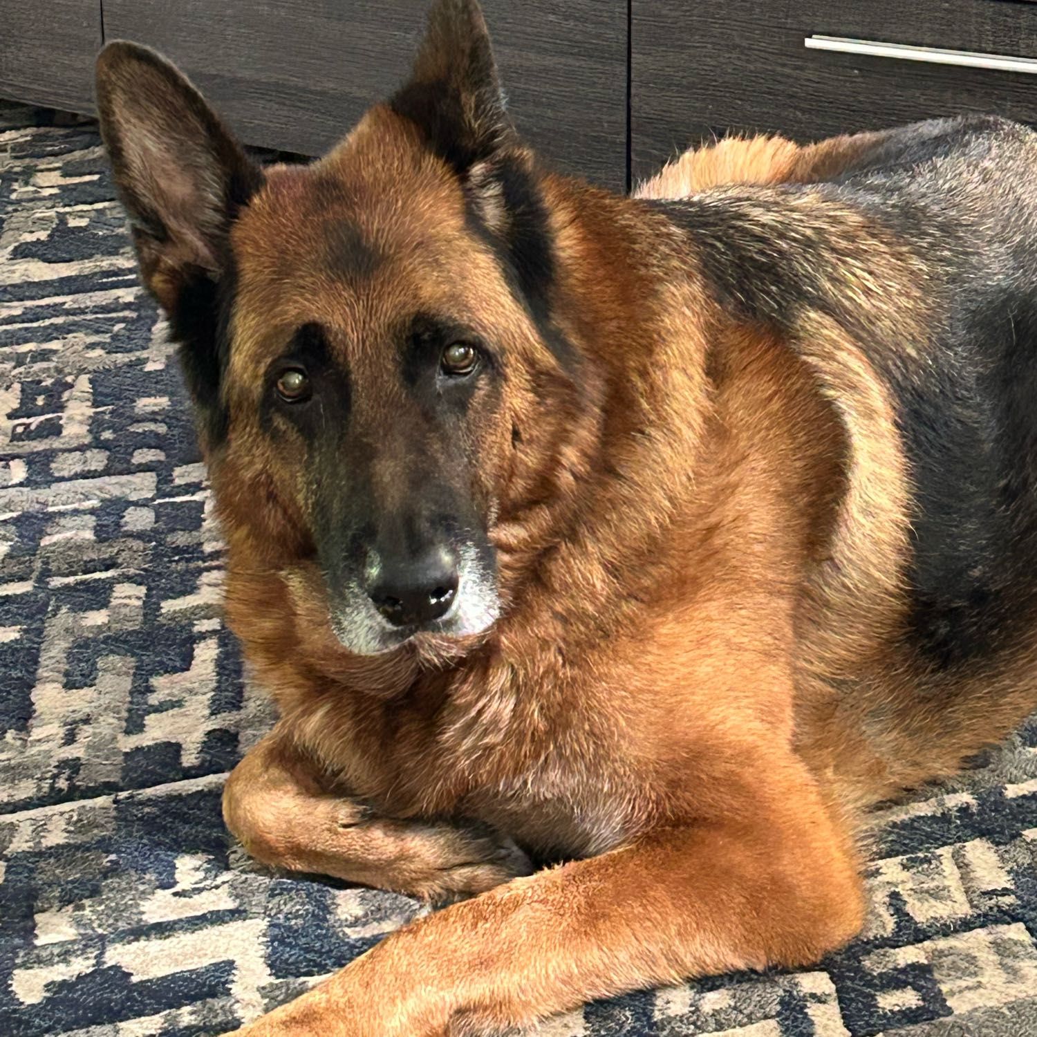 Max