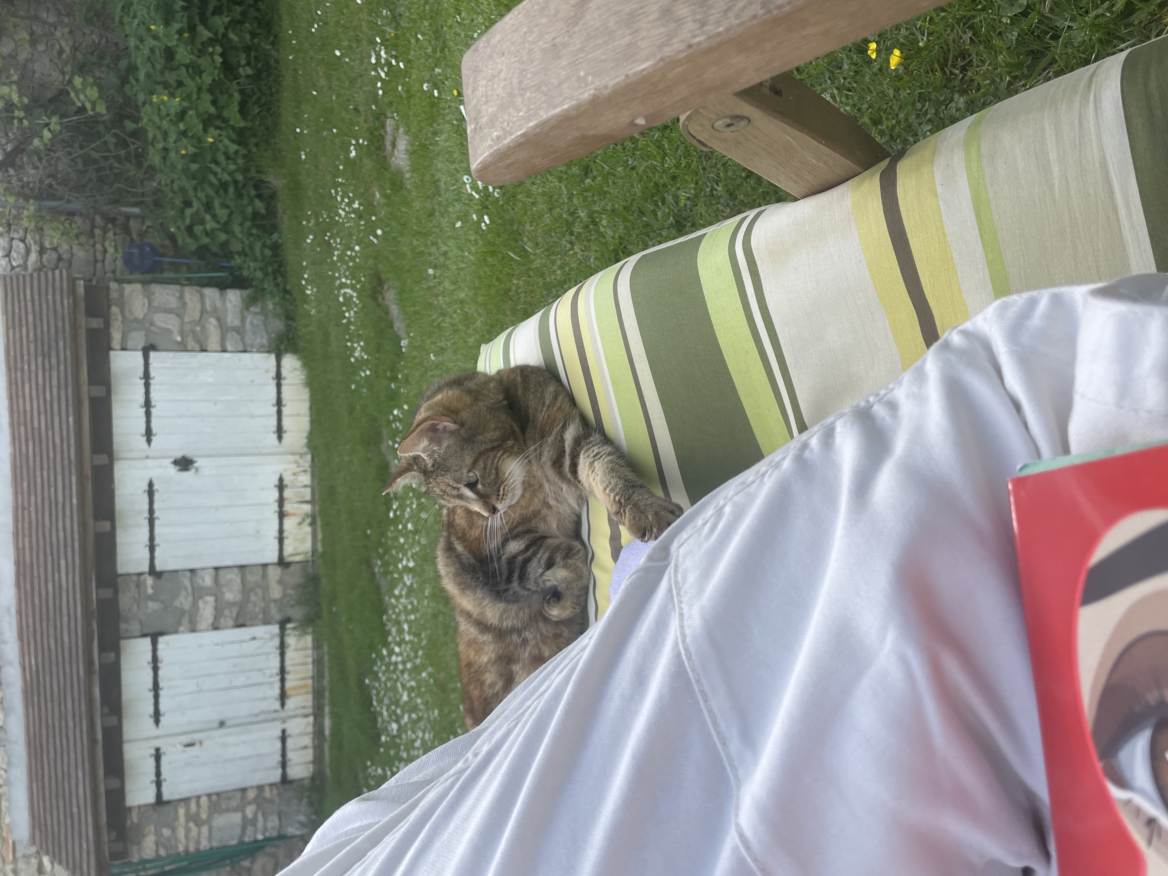 image-6