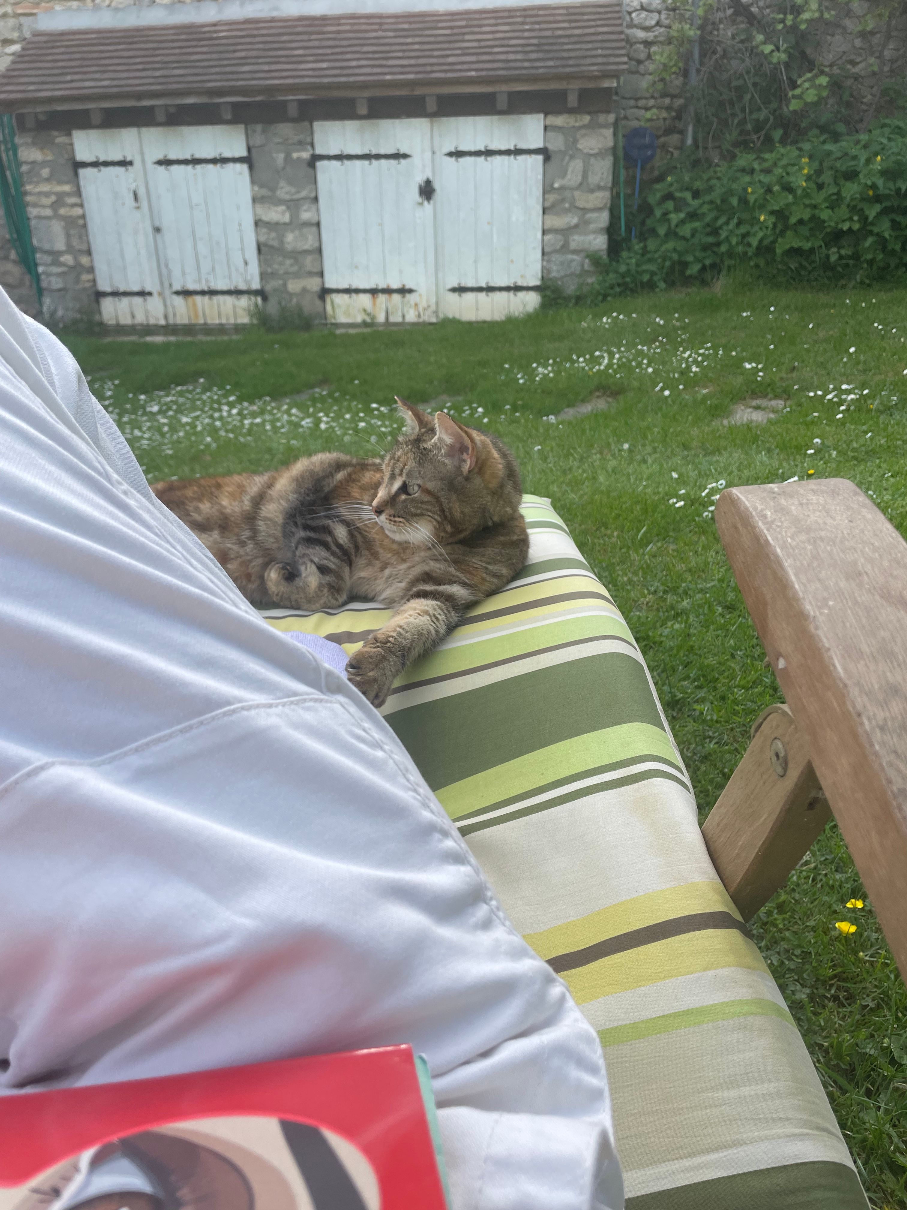 image-6